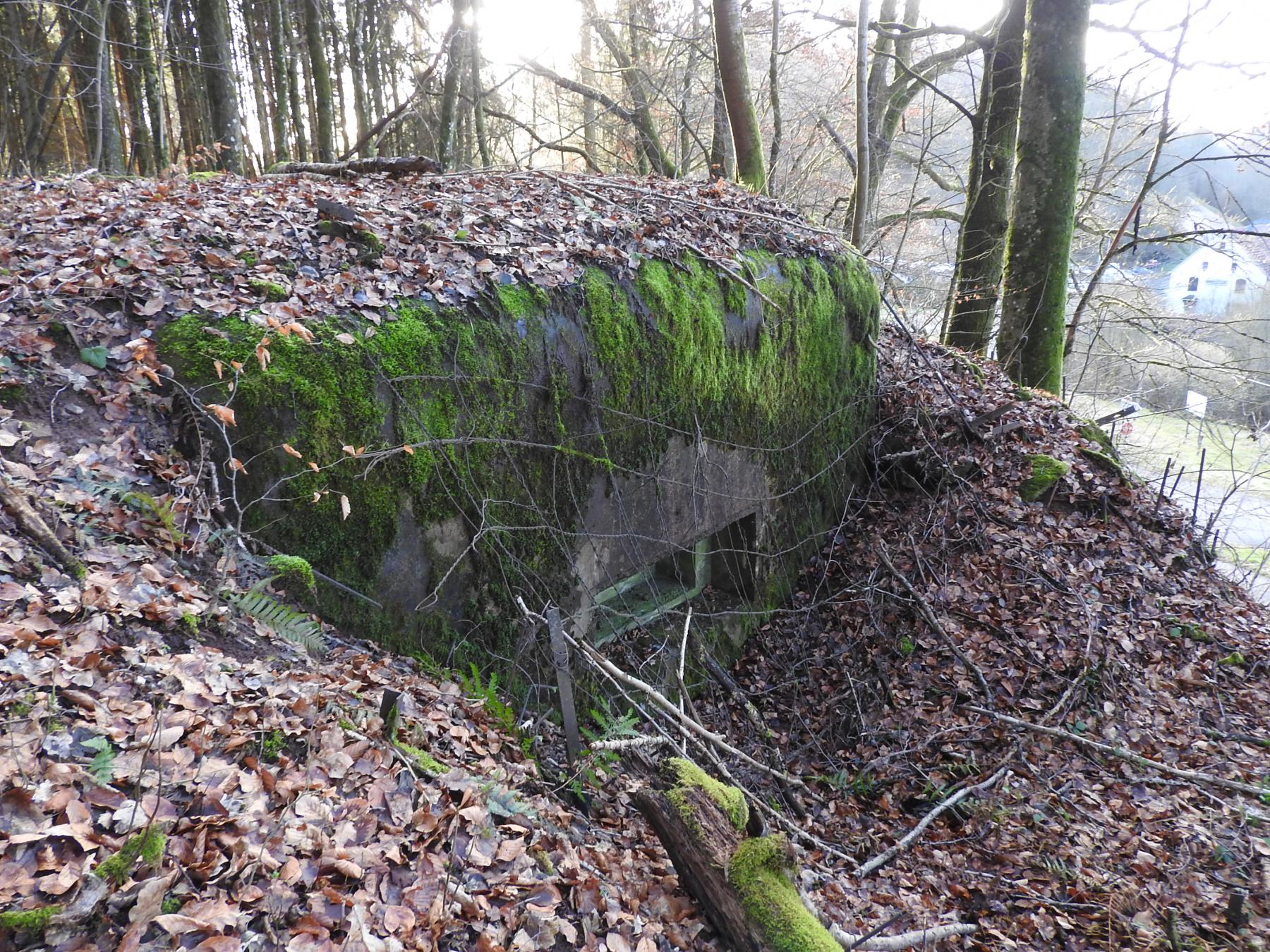 Ligne Maginot - FROHMUHL SUD - (Blockhaus pour arme infanterie) - La façade de tir. Noter la présence du grillage de camouflage. - STENGER Mathieu