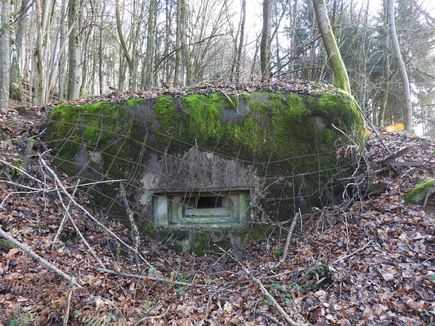 Ligne Maginot - FROHMUHL SUD - (Blockhaus pour arme infanterie) - La façade de tir. Noter la présence du grillage de camouflage. - STENGER Mathieu