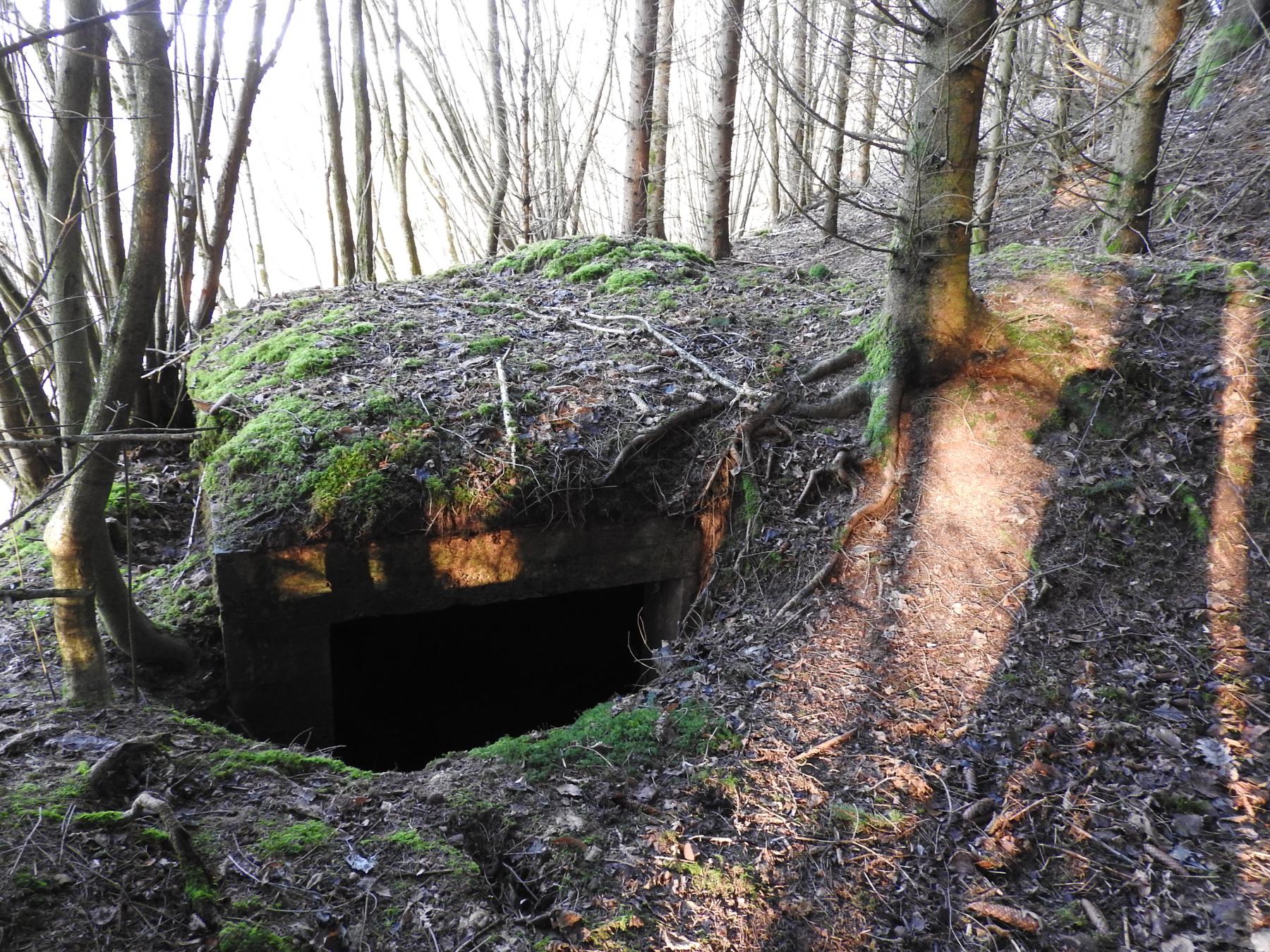 Ligne Maginot - FROHMUHL NORD - (Blockhaus pour canon) - L'entrée du blockhaus. - STENGER Mathieu