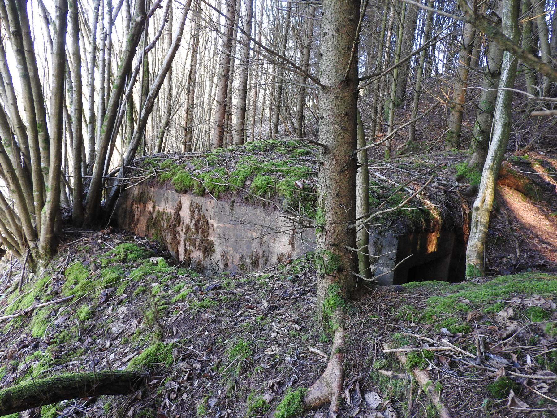 Ligne Maginot - FROHMUHL NORD - (Blockhaus pour canon) - La façade de tir remblayée. - STENGER Mathieu