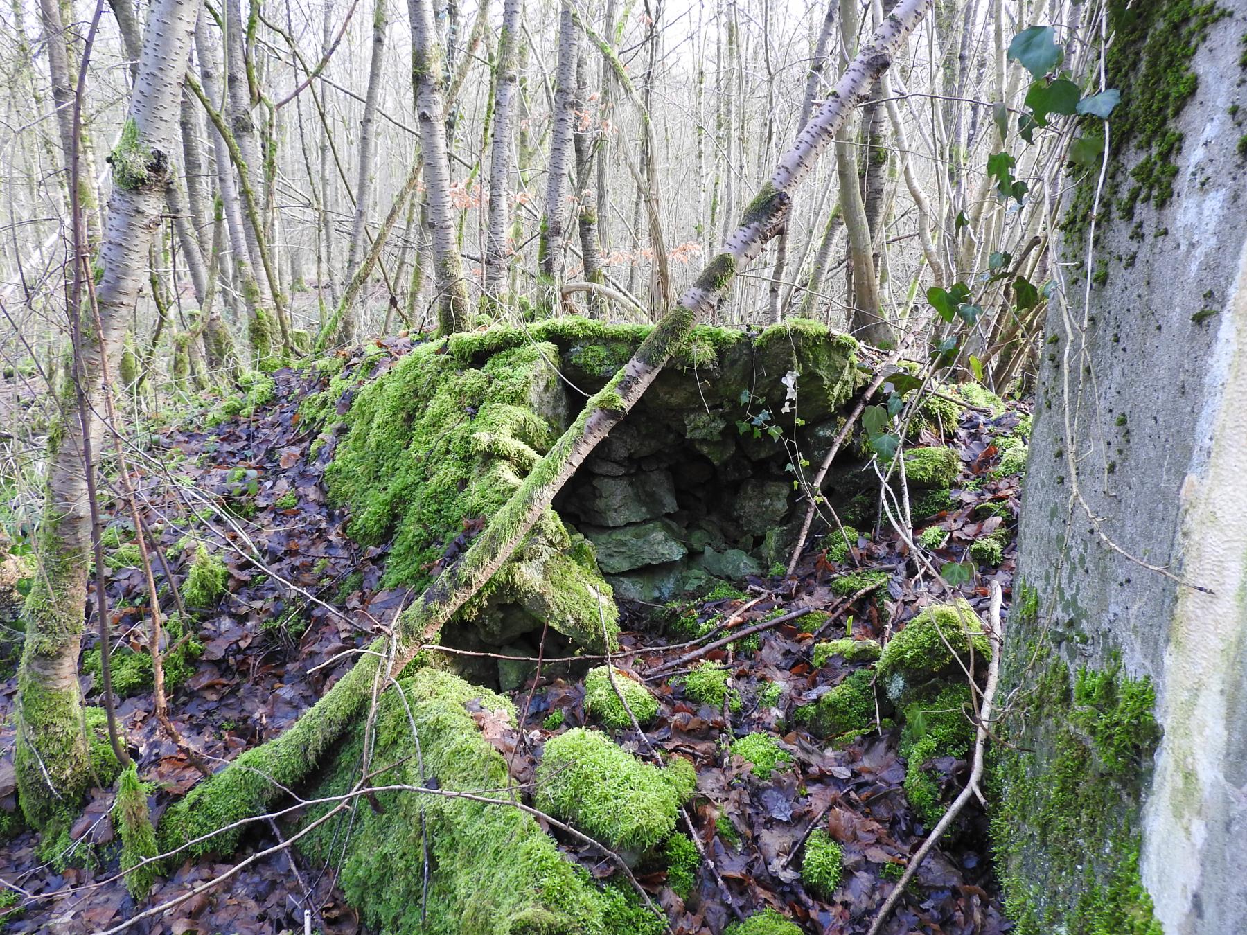 Ligne Maginot - AB32-C - LANDERT NORD - (Blockhaus pour canon) - Les restes d'une annèxe pour FM en maçonnerie. - STENGER Mathieu