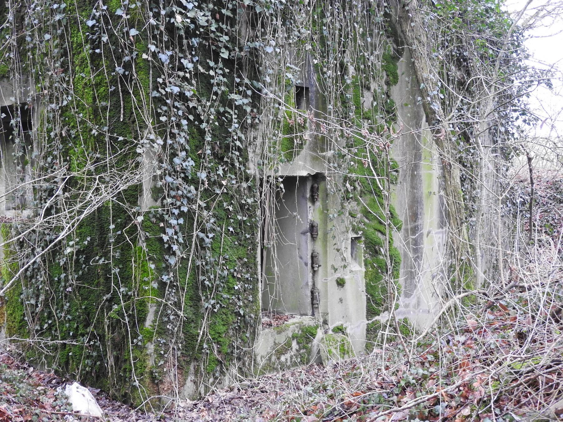 Ligne Maginot - BB164 - STUDEN - SUZANNE - (Blockhaus pour arme infanterie) - L'entrée du blockhaus. - STENGER Mathieu
