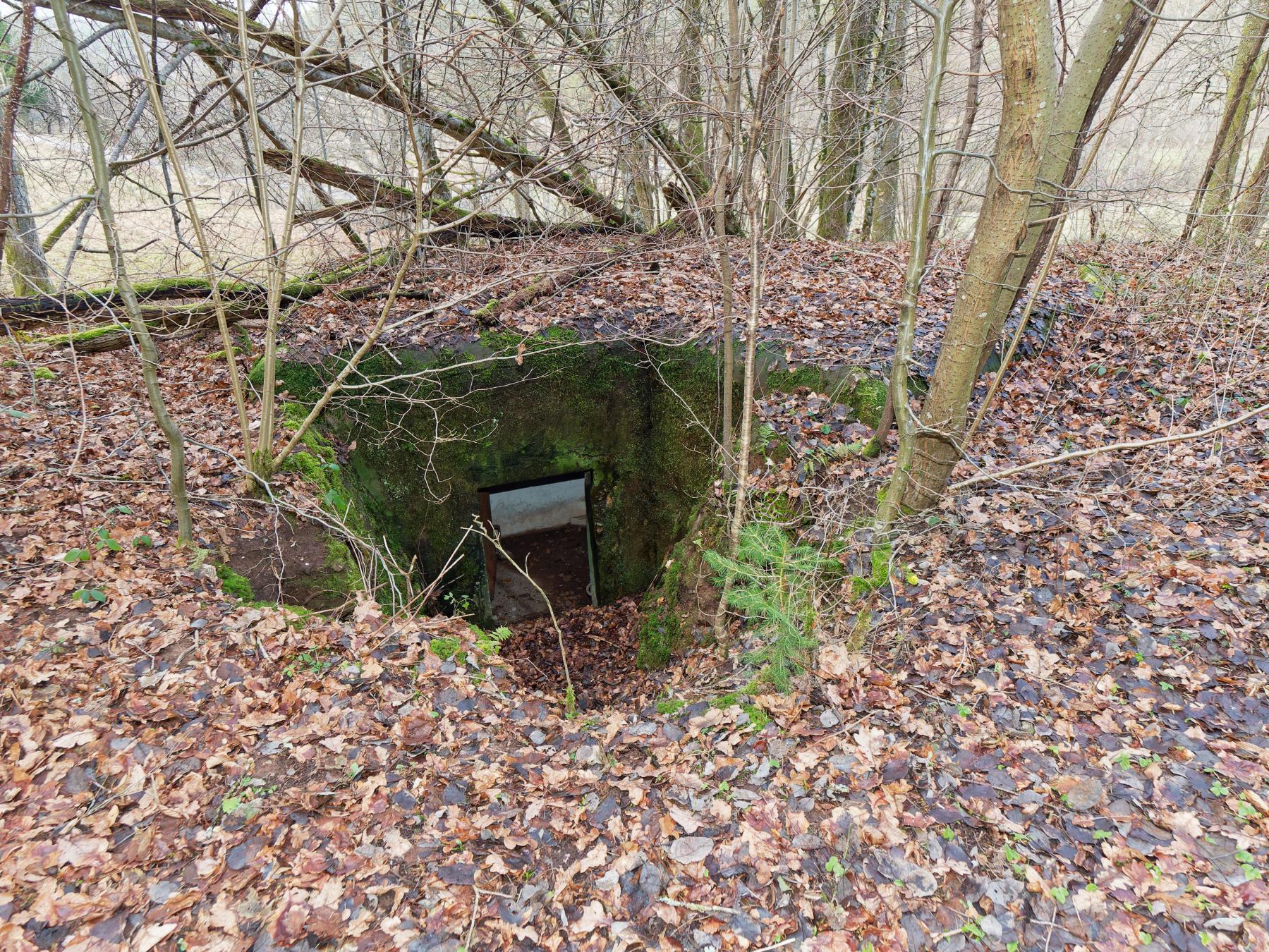 Ligne Maginot - NEUWEIHER 2 - (Blockhaus pour arme infanterie) - L'accès du blockhaus - Jürgen Morr