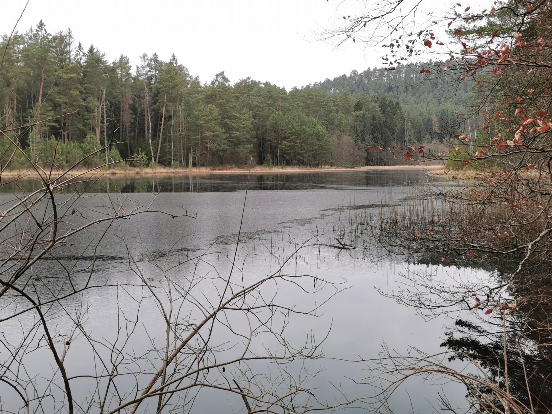 Ligne Maginot - WELSCHKOBERTWEIHER (ETANG-RéSERVOIR) - (Inondation défensive) -  - Jürgen Morr