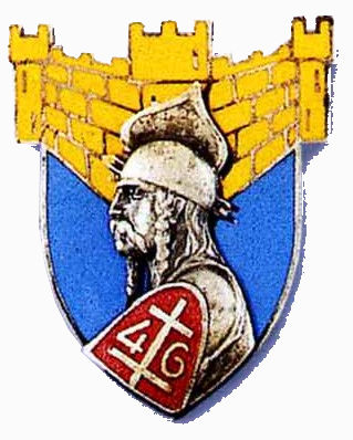 Ligne Maginot - Insigne 46° RAMF - 