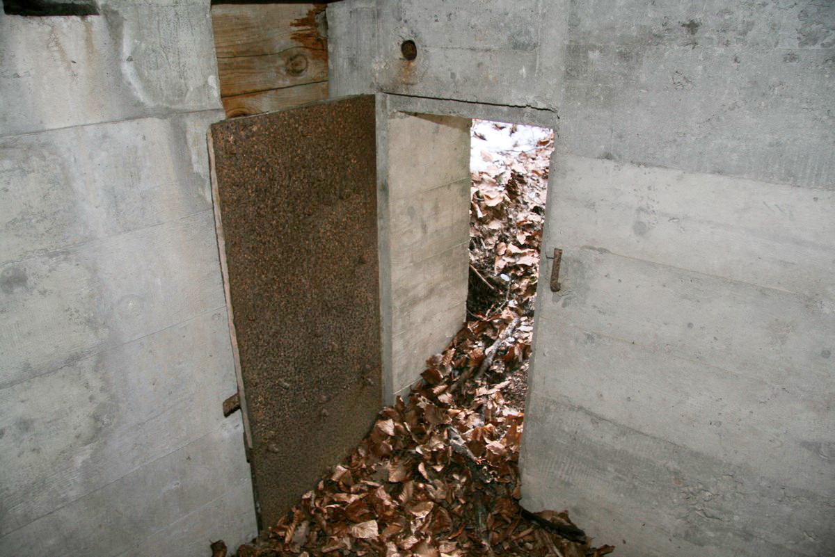 Ligne Maginot - HART CENTRE 3 - (Observatoire indéterminé) - Entrée - Alain Perouffe