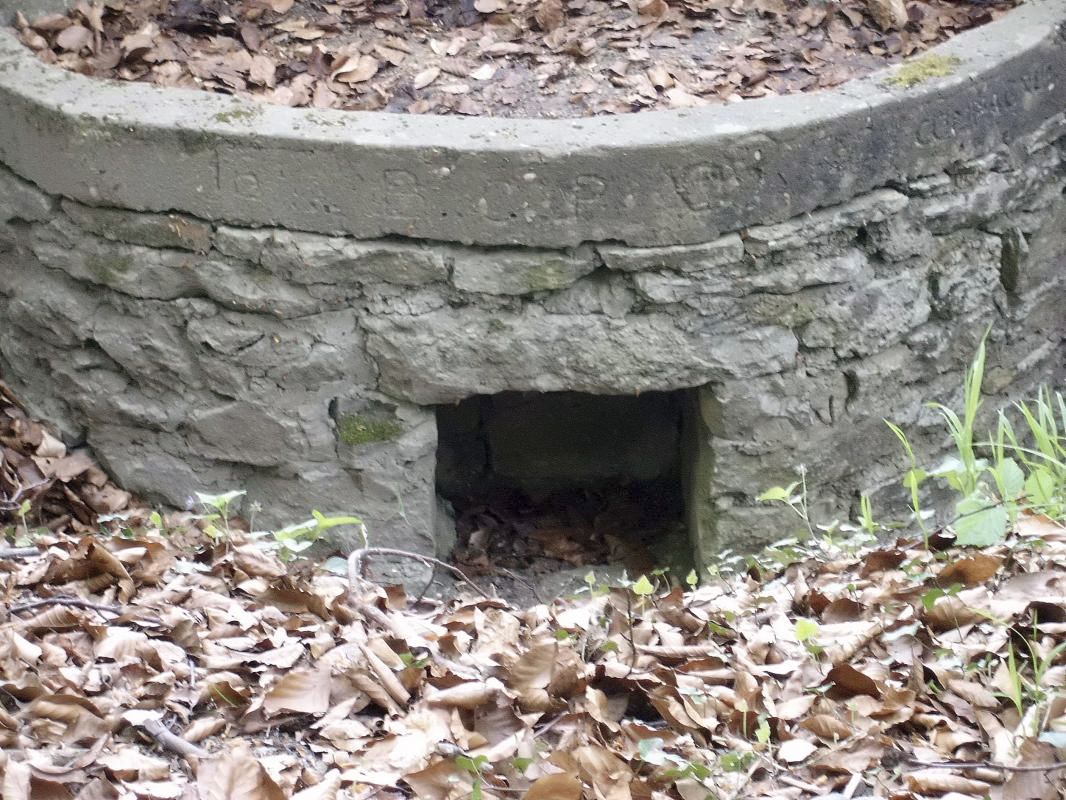 Ligne Maginot - MEISTERBUSCH 4 - (Cuve pour arme d'infanterie) -  - Sylvie Laure LAMBERT