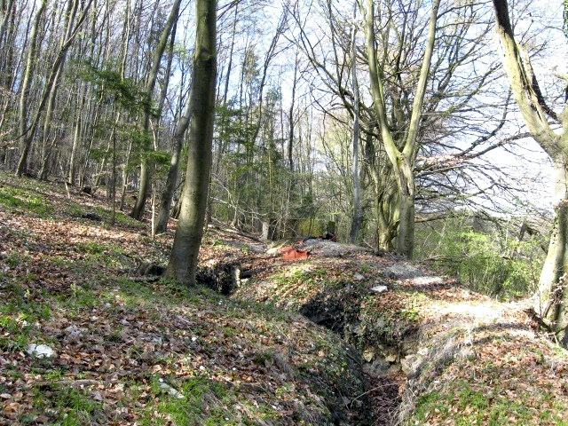 Ligne Maginot - MEISTERBUSCH 4 - (Cuve pour arme d'infanterie) - Tranchée de liaison entre l'observatoire et l'encuvement - Christian LENHARD
