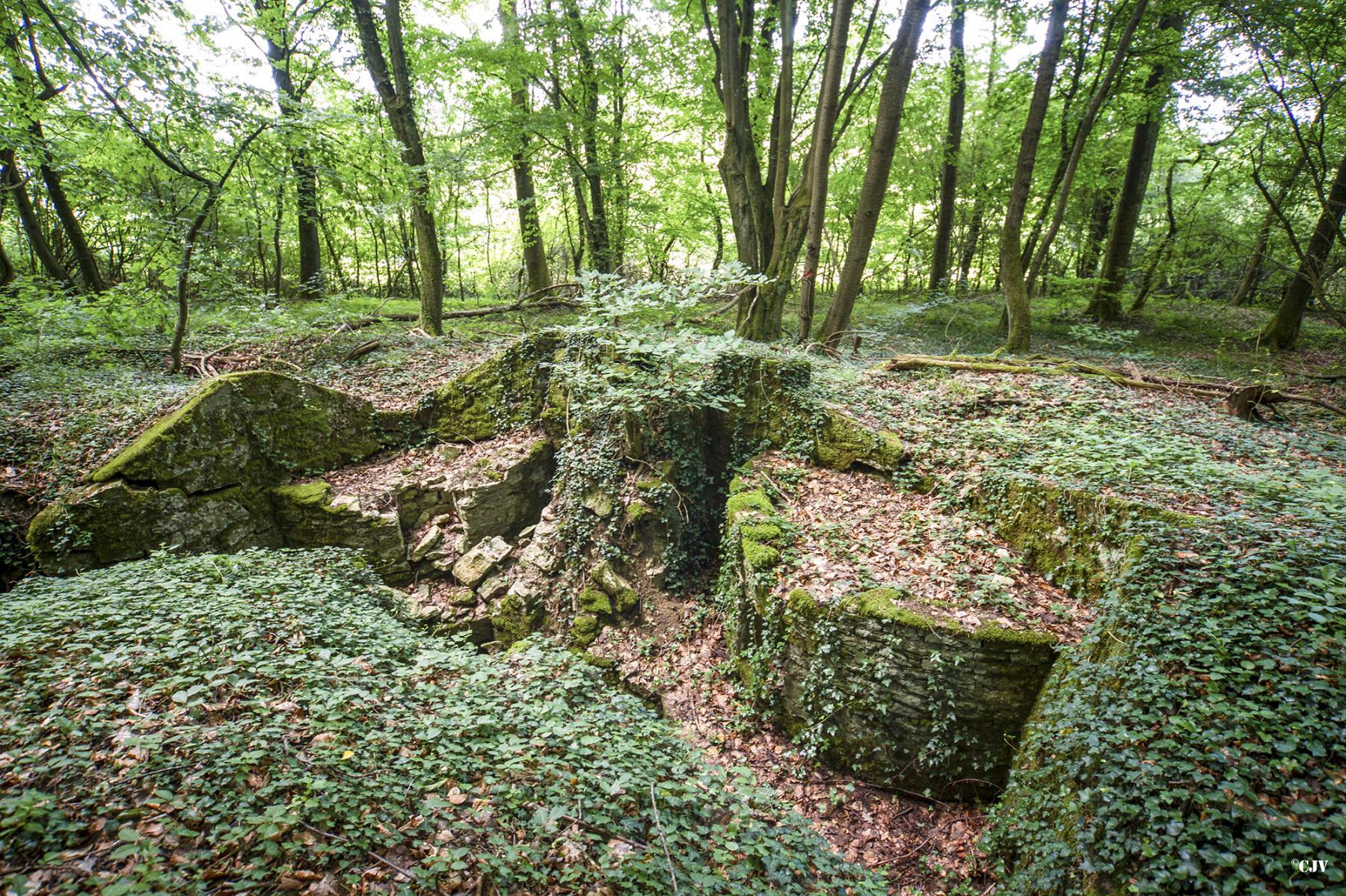 Ligne Maginot - MEISTERBUSCH 5 - (Cuve pour arme d'infanterie) -  - Lia Vermeulen
