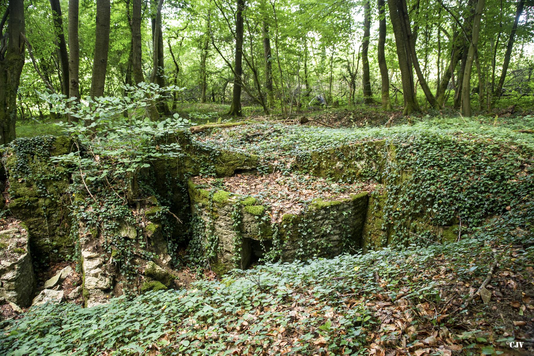 Ligne Maginot - MEISTERBUSCH 5 - (Cuve pour arme d'infanterie) -  - Lia Vermeulen