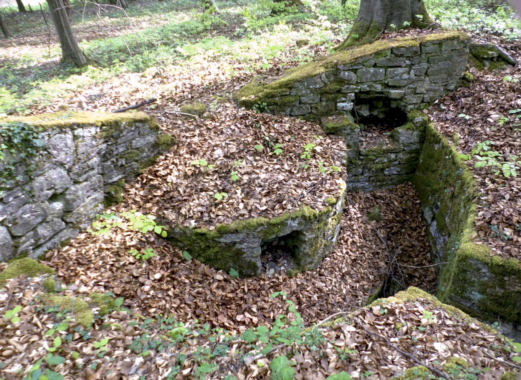 Ligne Maginot - MEISTERBUSCH 5 - (Cuve pour arme d'infanterie) -  - Sylvie Laure LAMBERT
