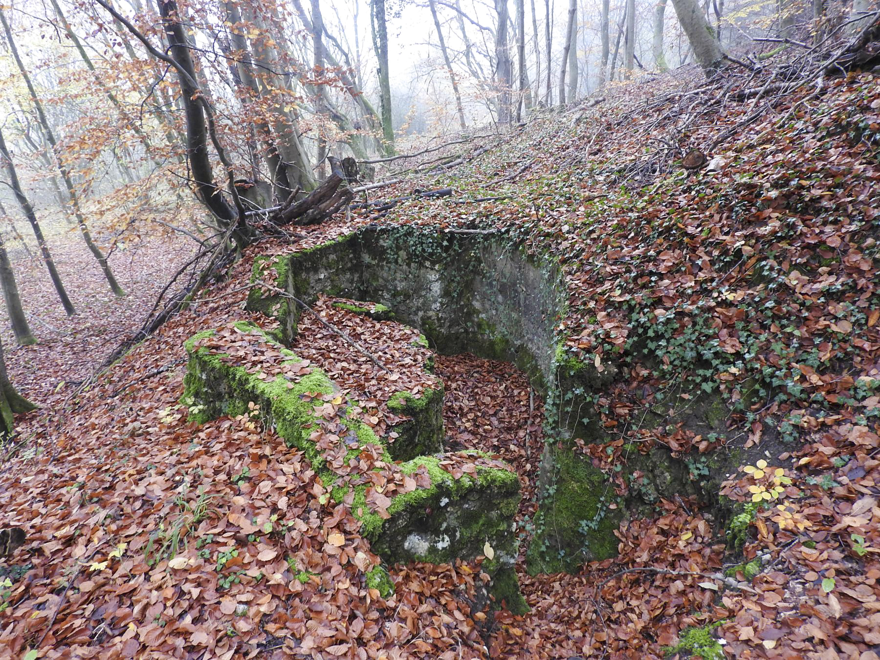 Ligne Maginot - GUNGLINGERBERG 5 - (Cuve pour arme d'infanterie) - La cuve pour arme d'infanterie. - STENGER Mathieu