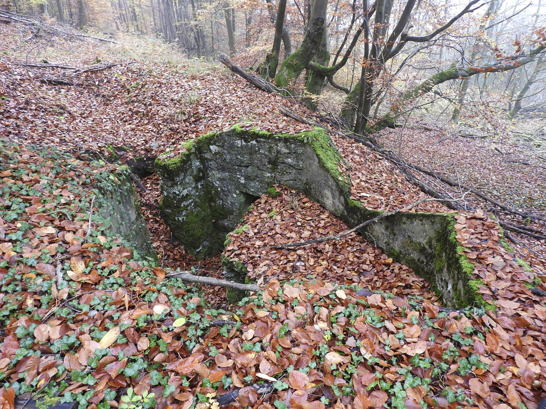 Ligne Maginot - GUNGLINGERBERG 5 - (Cuve pour arme d'infanterie) - La cuve pour arme d'infanterie. - STENGER Mathieu