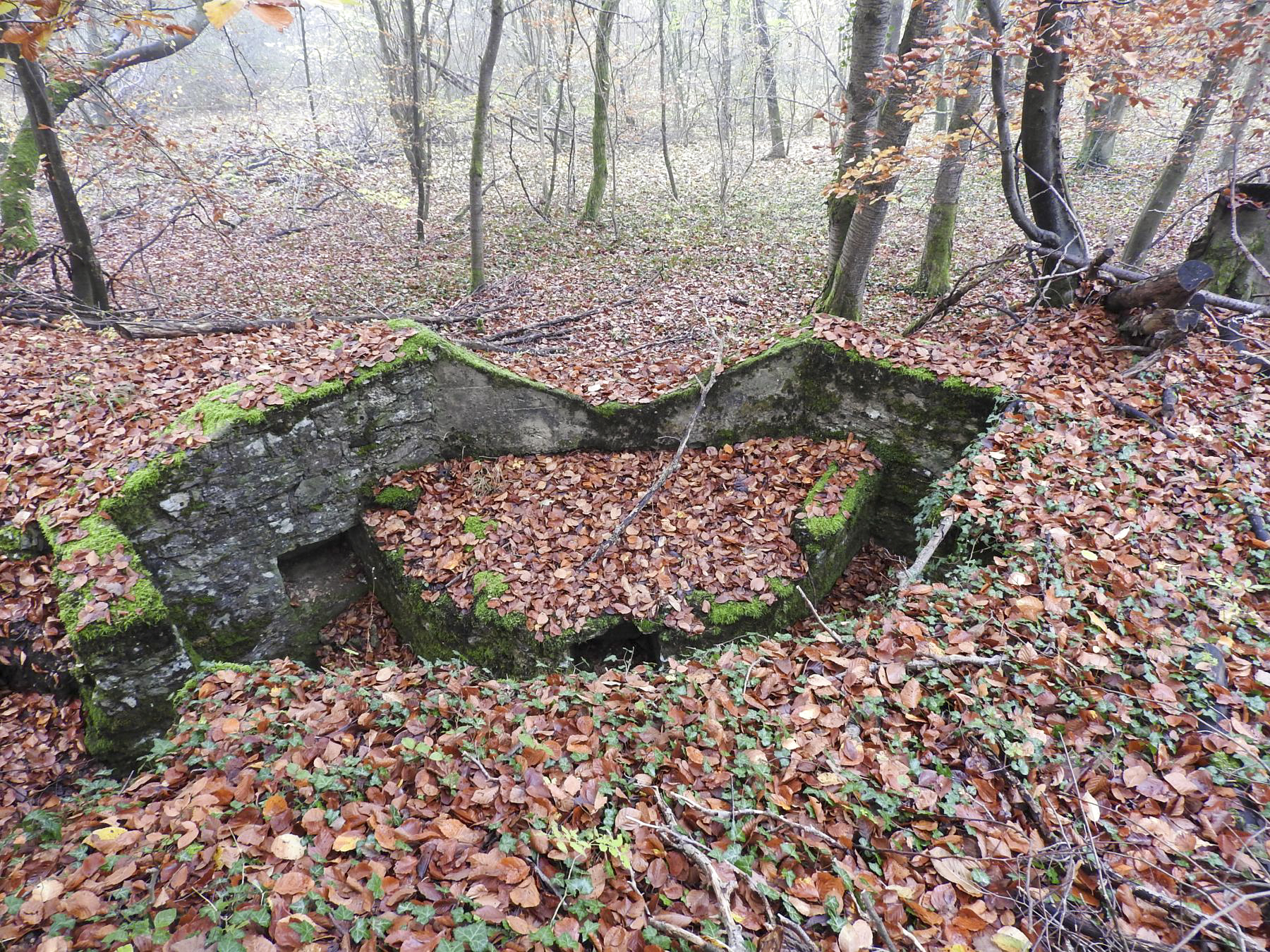 Ligne Maginot - GUNGLINGERBERG 5 - (Cuve pour arme d'infanterie) - La cuve pour arme d'infanterie. - STENGER Mathieu