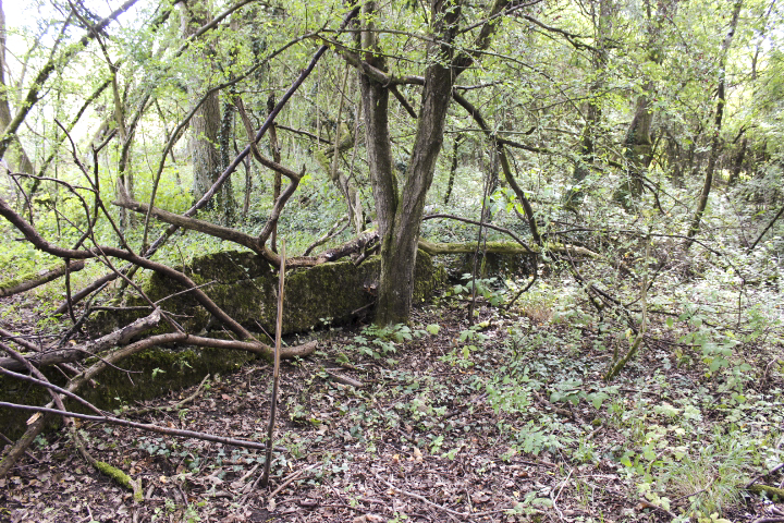 Ligne Maginot - PUTTELANGE - (Camp de sureté) - La limite du camp coté Nord, muret - jin jac