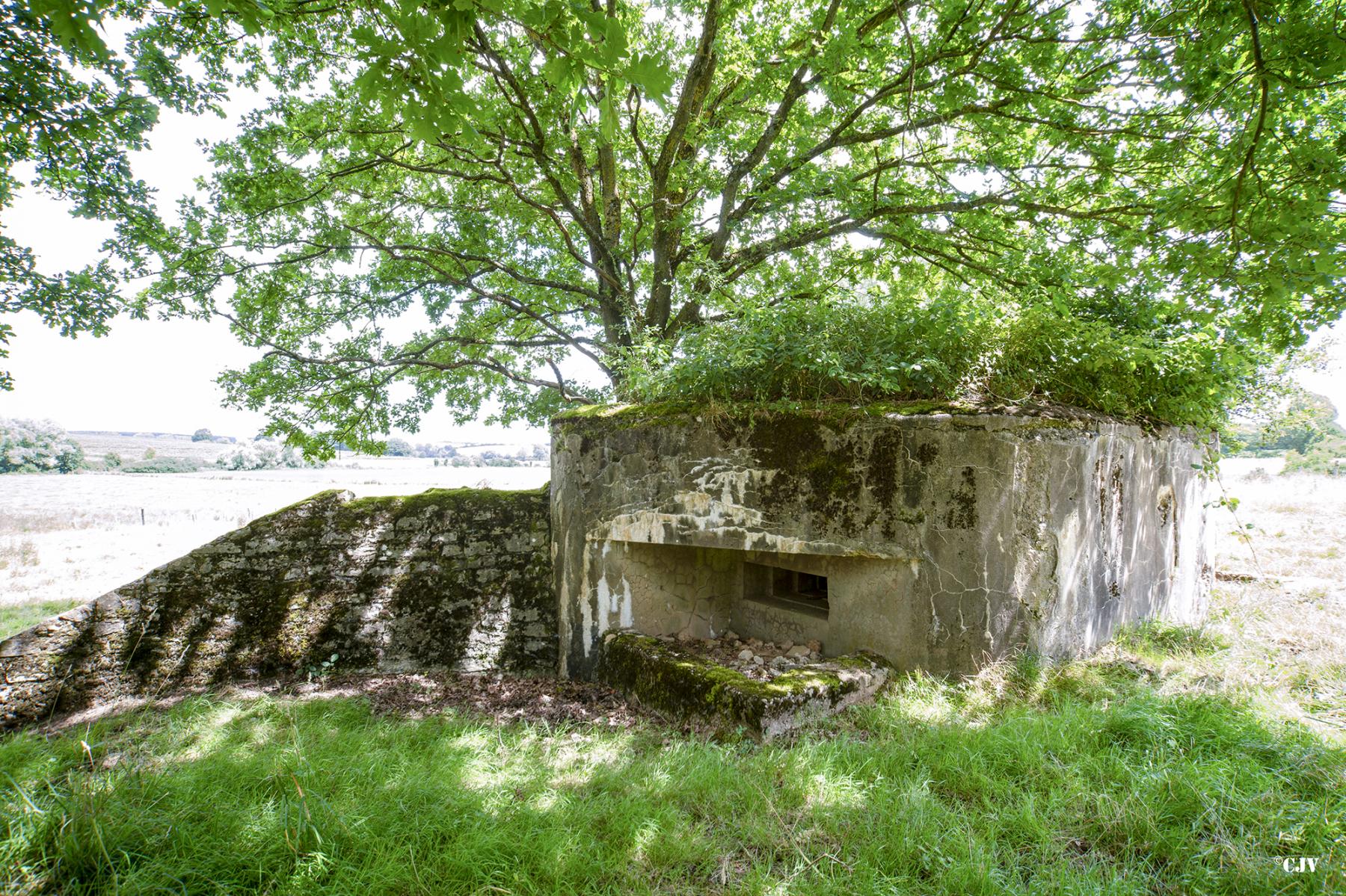 Ligne Maginot - STRICHMATT - (Blockhaus pour arme infanterie) -  - Lia VERMEULEN