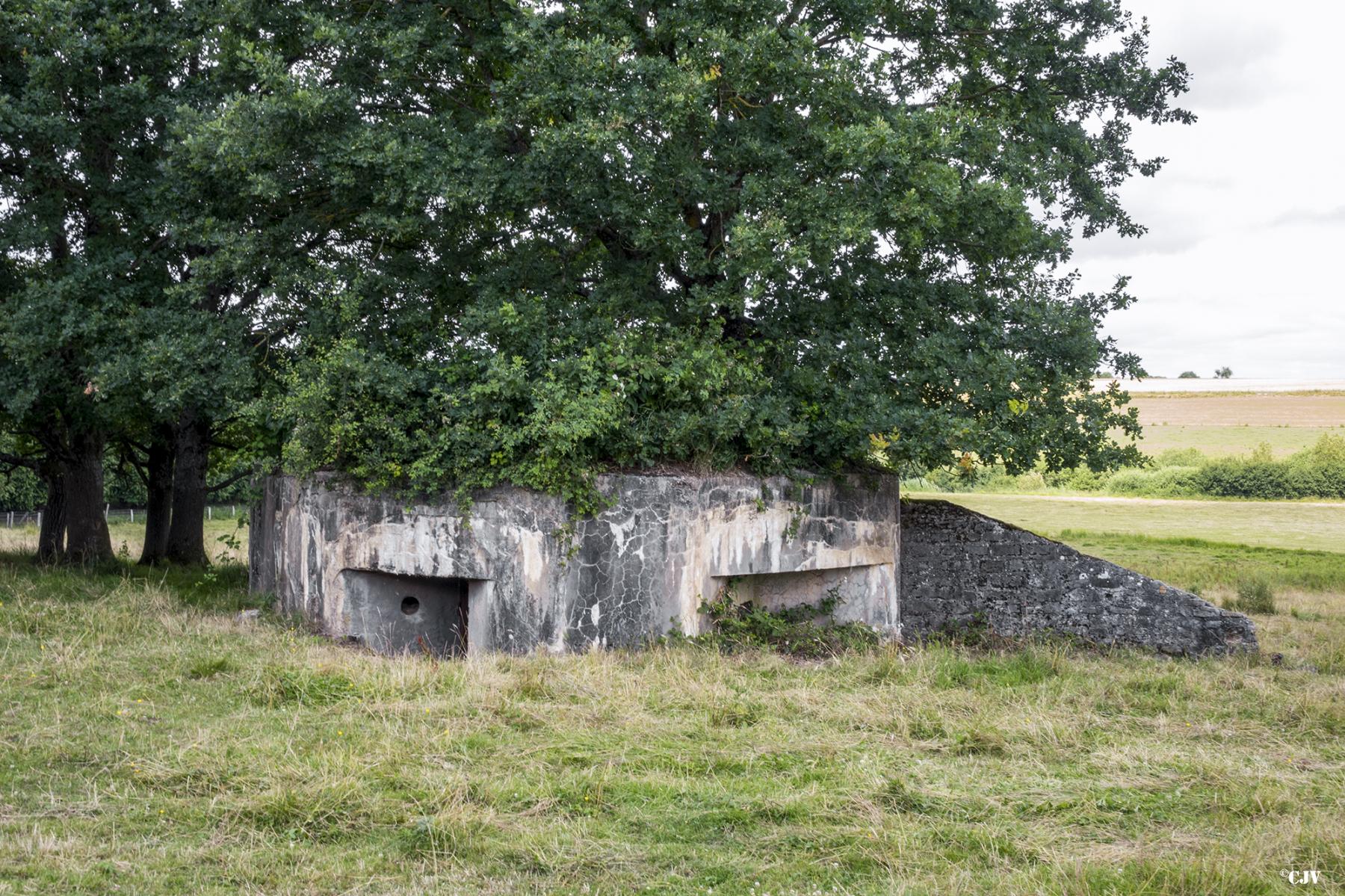 Ligne Maginot - STRICHMATT - (Blockhaus pour arme infanterie) -  - Lia VERMEULEN
