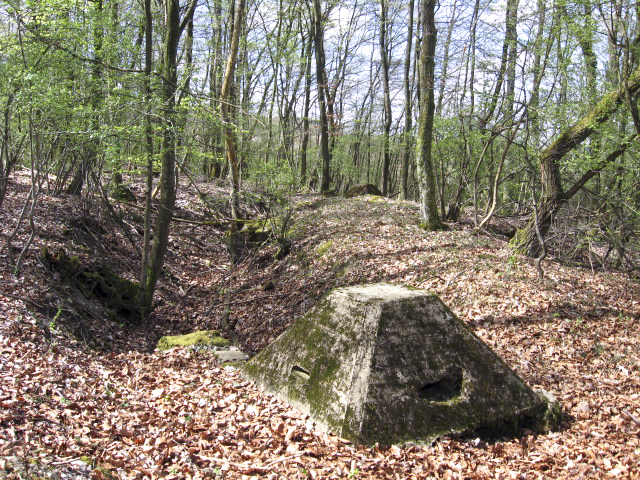 Ligne Maginot - COTE 270 - (Observatoire d'artillerie) -  - Christian LENHARD