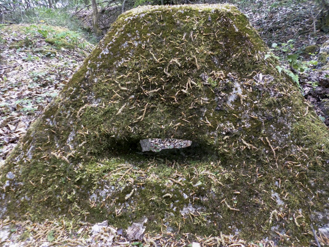 Ligne Maginot - COTE 270 - (Observatoire d'artillerie) -  - Sylvie Laure LAMBERT