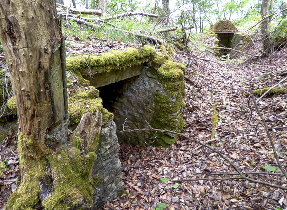 Ligne Maginot - COTE 270 - (Observatoire d'artillerie) -  - Sylvie Laure LAMBERT
