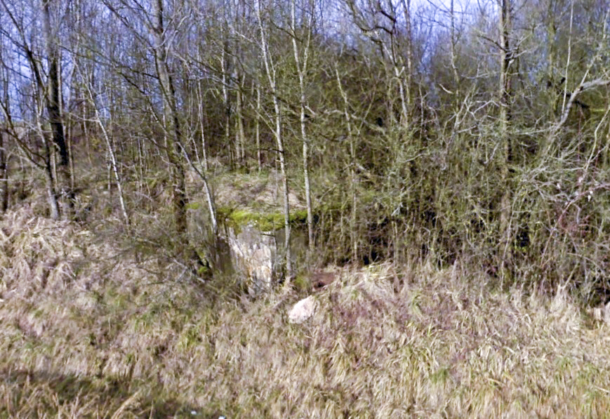 Ligne Maginot - COTE 252 2 (Blockhaus de type indéterminé) -  - Google StreetView