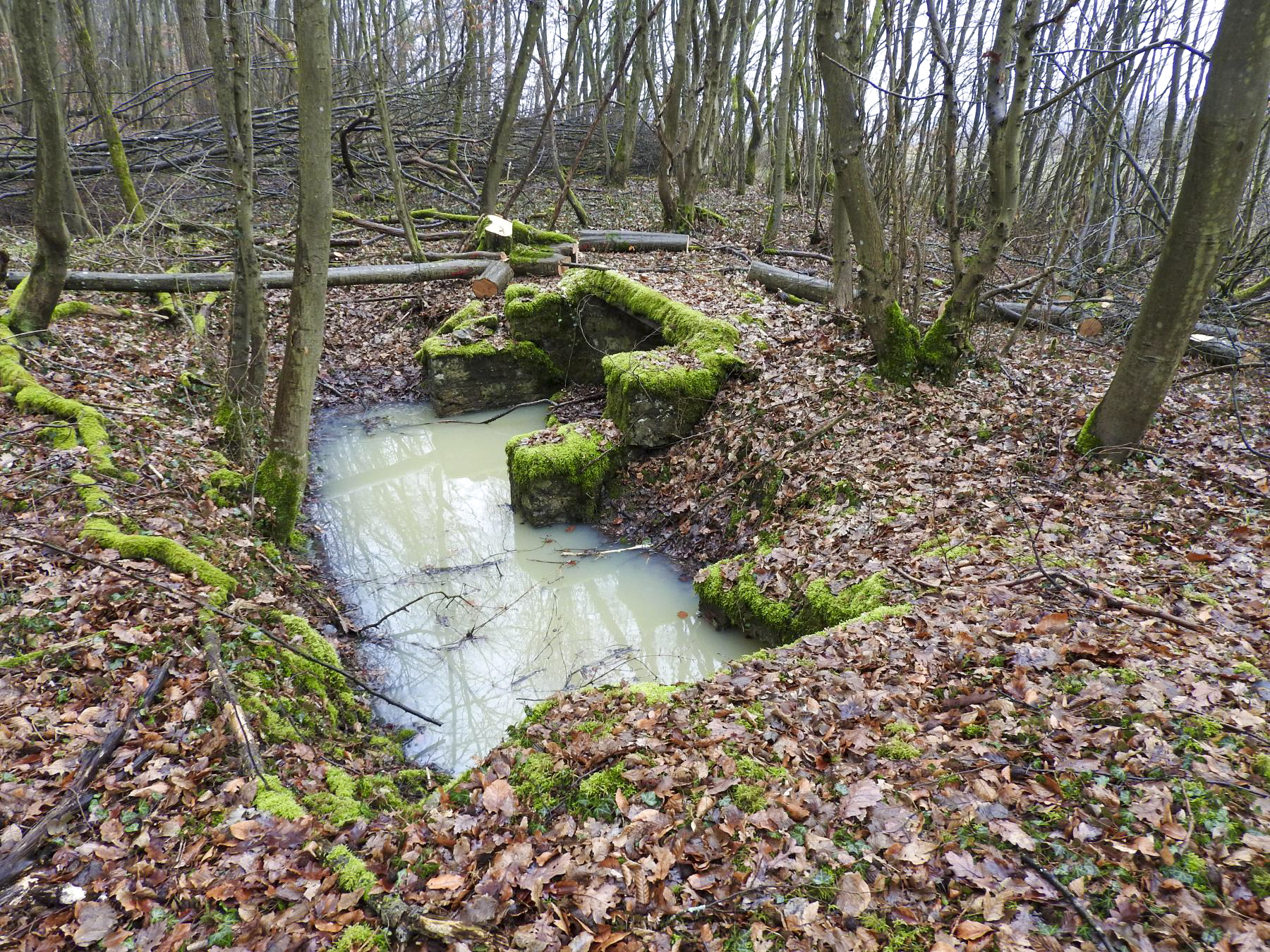 Ligne Maginot - GUNGLINGERBERG 1 - (Cuve pour arme d'infanterie) - La plate-forme inondée en 2017. - STENGER Mathieu