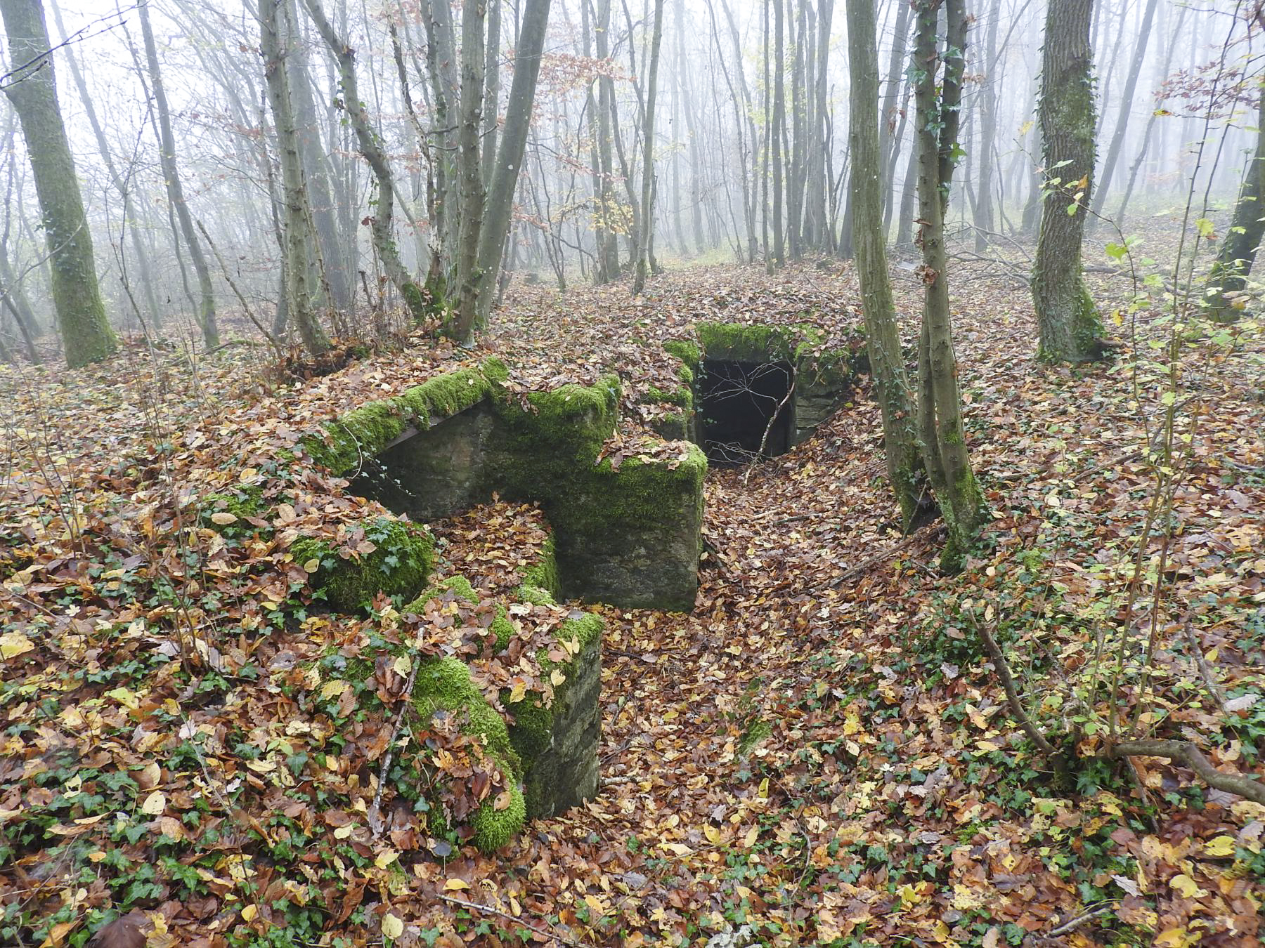 Ligne Maginot - GUNGLINGERBERG 1 - (Cuve pour arme d'infanterie) - La plate-forme pour arme d'infanterie. - STENGER Mathieu