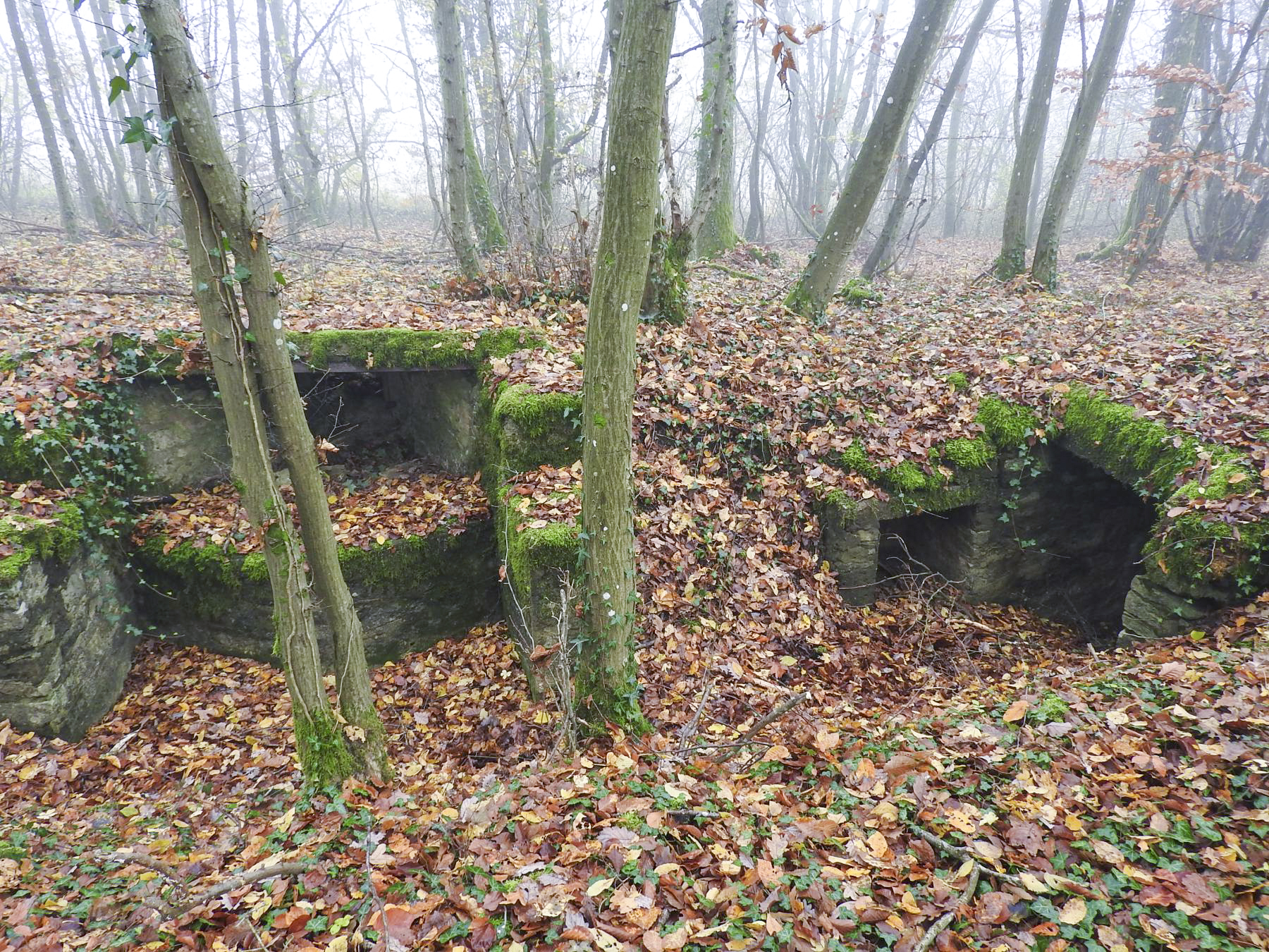 Ligne Maginot - GUNGLINGERBERG 1 - (Cuve pour arme d'infanterie) - La cuve d'infanterie. - STENGER Mathieu