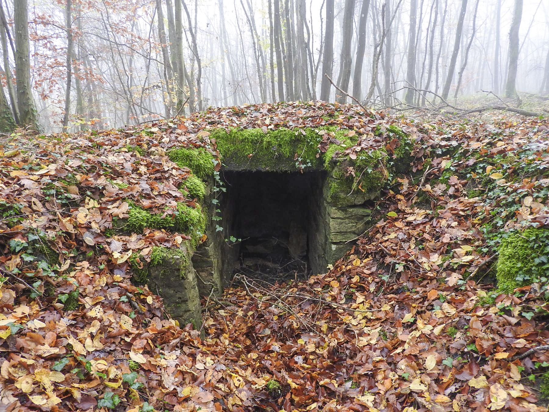 Ligne Maginot - GUNGLINGERBERG 1 - (Cuve pour arme d'infanterie) - La niche à munitions. - STENGER Mathieu