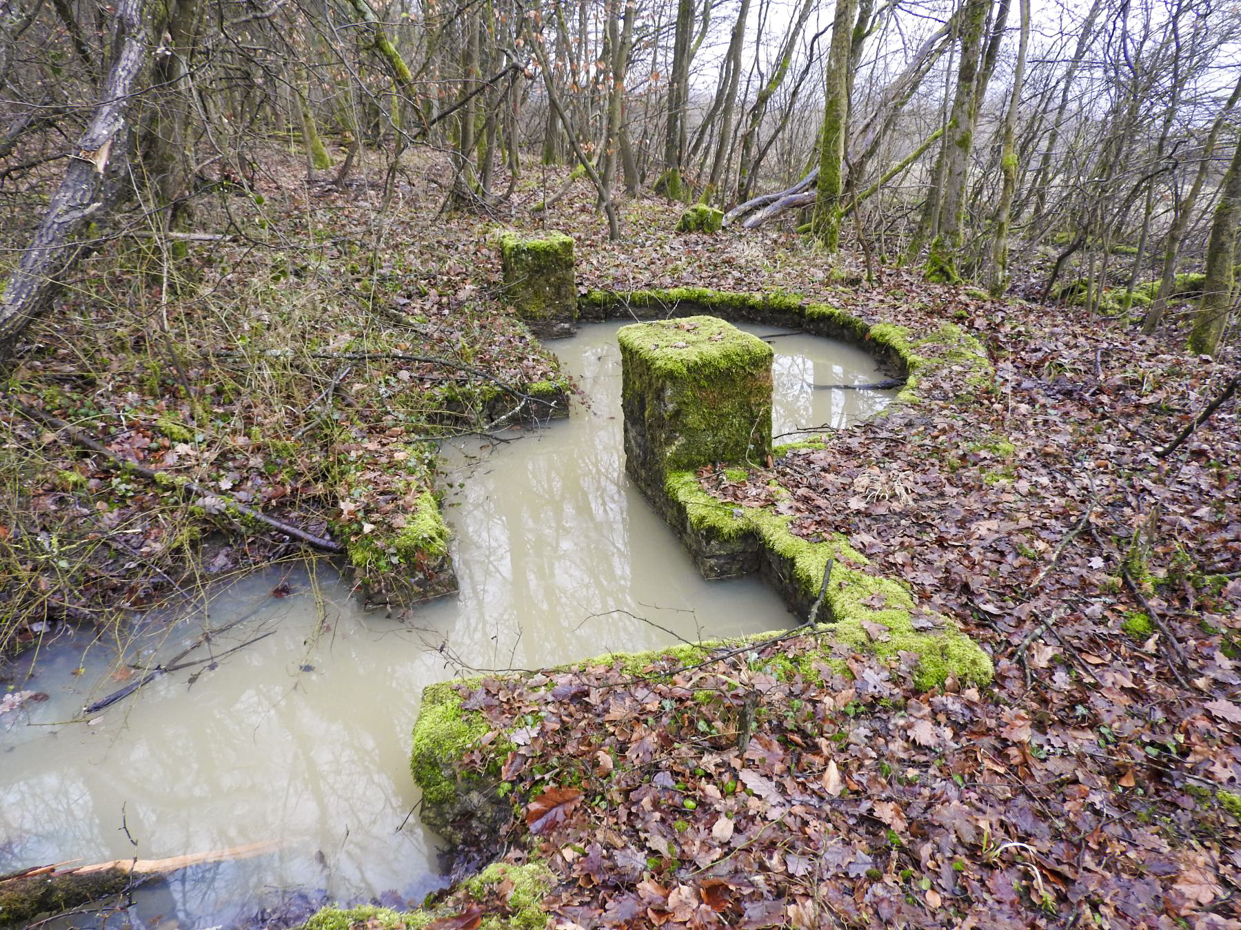 Ligne Maginot - GUNGLINGERBERG 2 - (Cuve pour arme d'infanterie) - La même en 2017 inondée. - STENGER Mathieu