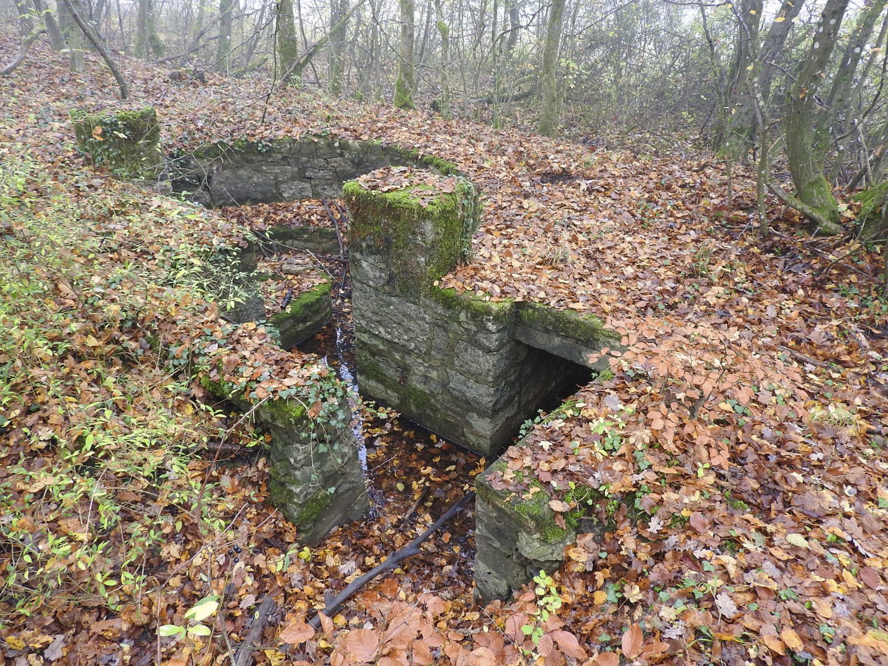 Ligne Maginot - GUNGLINGERBERG 2 - (Cuve pour arme d'infanterie) - La cuve pour arme d'infanterie. - STENGER Mathieu