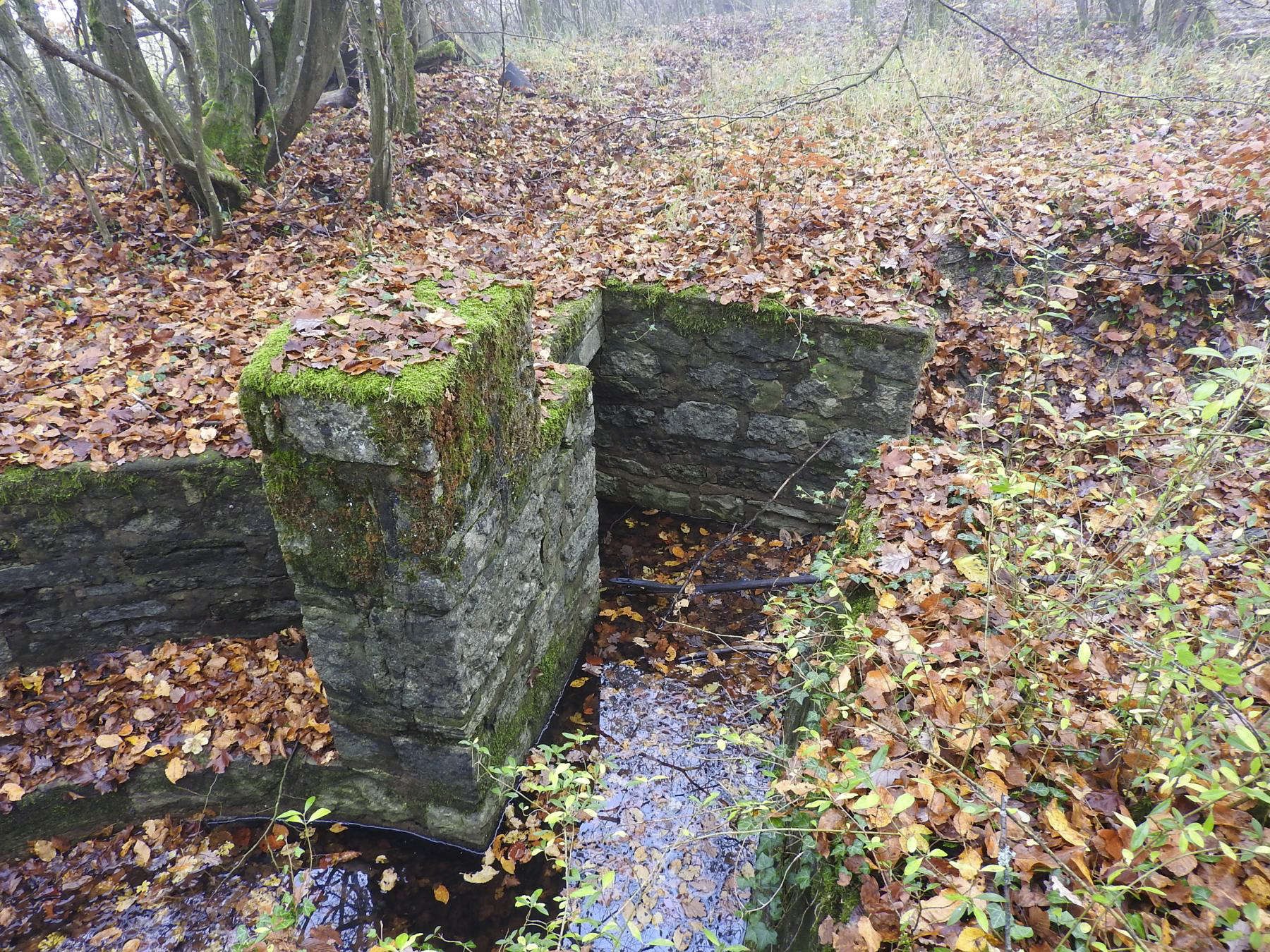 Ligne Maginot - GUNGLINGERBERG 2 - (Cuve pour arme d'infanterie) - La cuve pour arme d'infanterie. - STENGER Mathieu