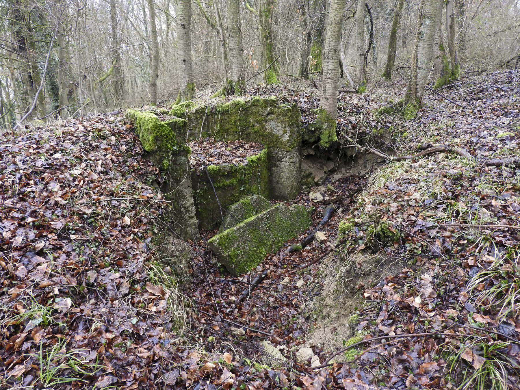 Ligne Maginot - GUNGLINGERBERG 4 - (Cuve pour arme d'infanterie) - Le poste de tir pour FM. - STENGER Mathieu