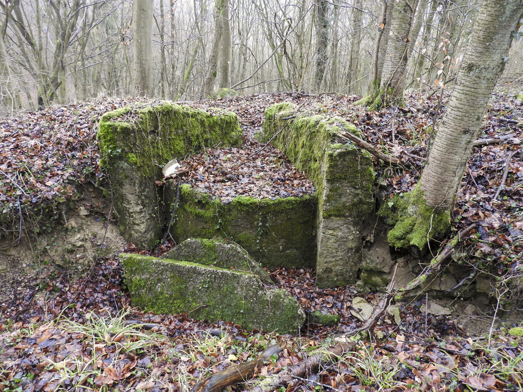 Ligne Maginot - GUNGLINGERBERG 4 - (Cuve pour arme d'infanterie) - Le poste de tir pour FM. - STENGER Mathieu