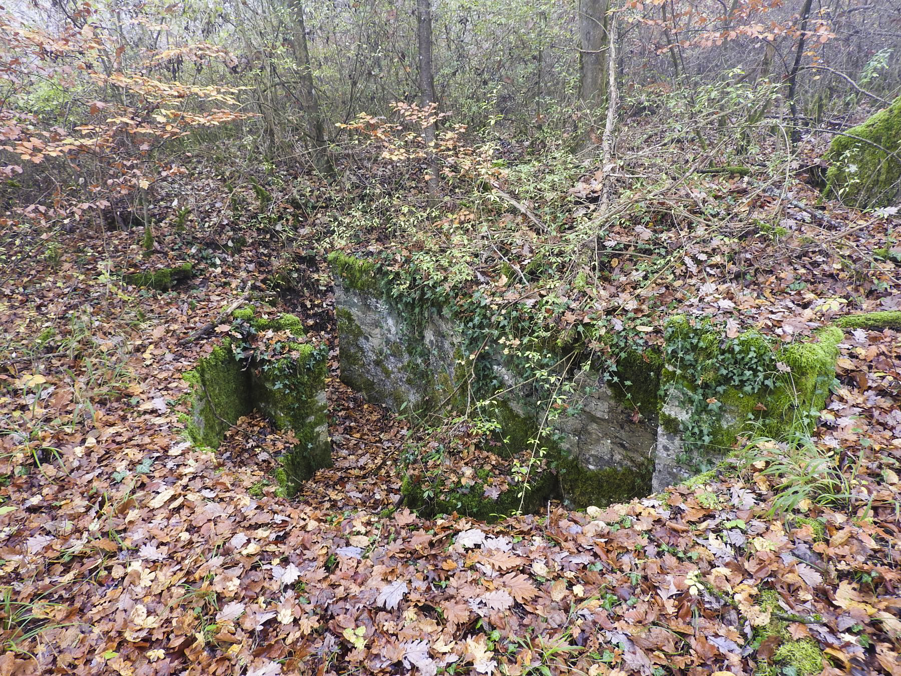 Ligne Maginot - GUNGLINGERWALD 1 - (Cuve pour arme d'infanterie) - La cuve pour arme d'infanterie. - STENGER Mathieu