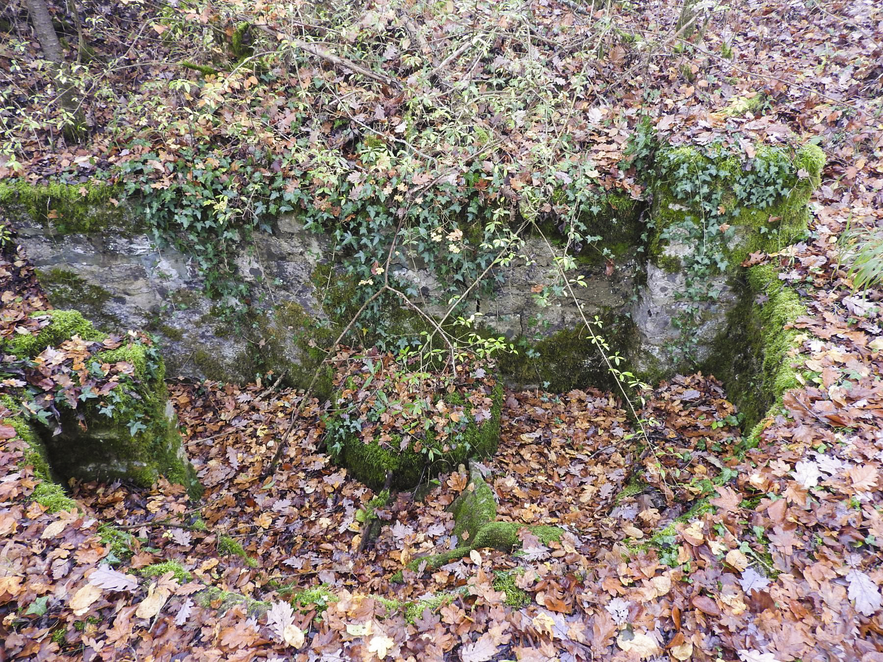Ligne Maginot - GUNGLINGERWALD 1 - (Cuve pour arme d'infanterie) - La cuve pour arme d'infanterie. - STENGER Mathieu