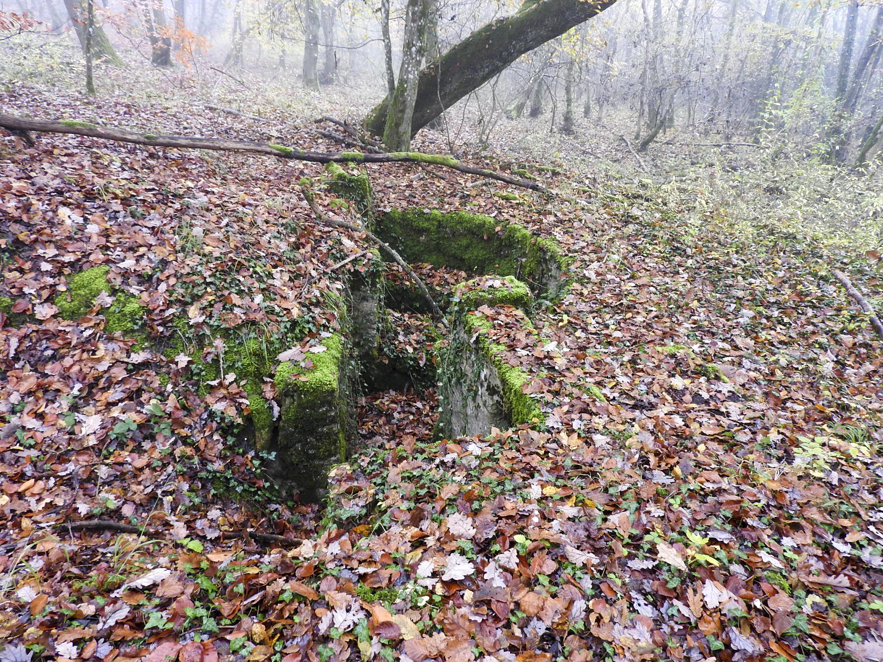 Ligne Maginot - GUNGLINGERWALD 2 - (Cuve pour arme d'infanterie) - La cuve pour arme d'infanterie. - STENGER Mathieu
