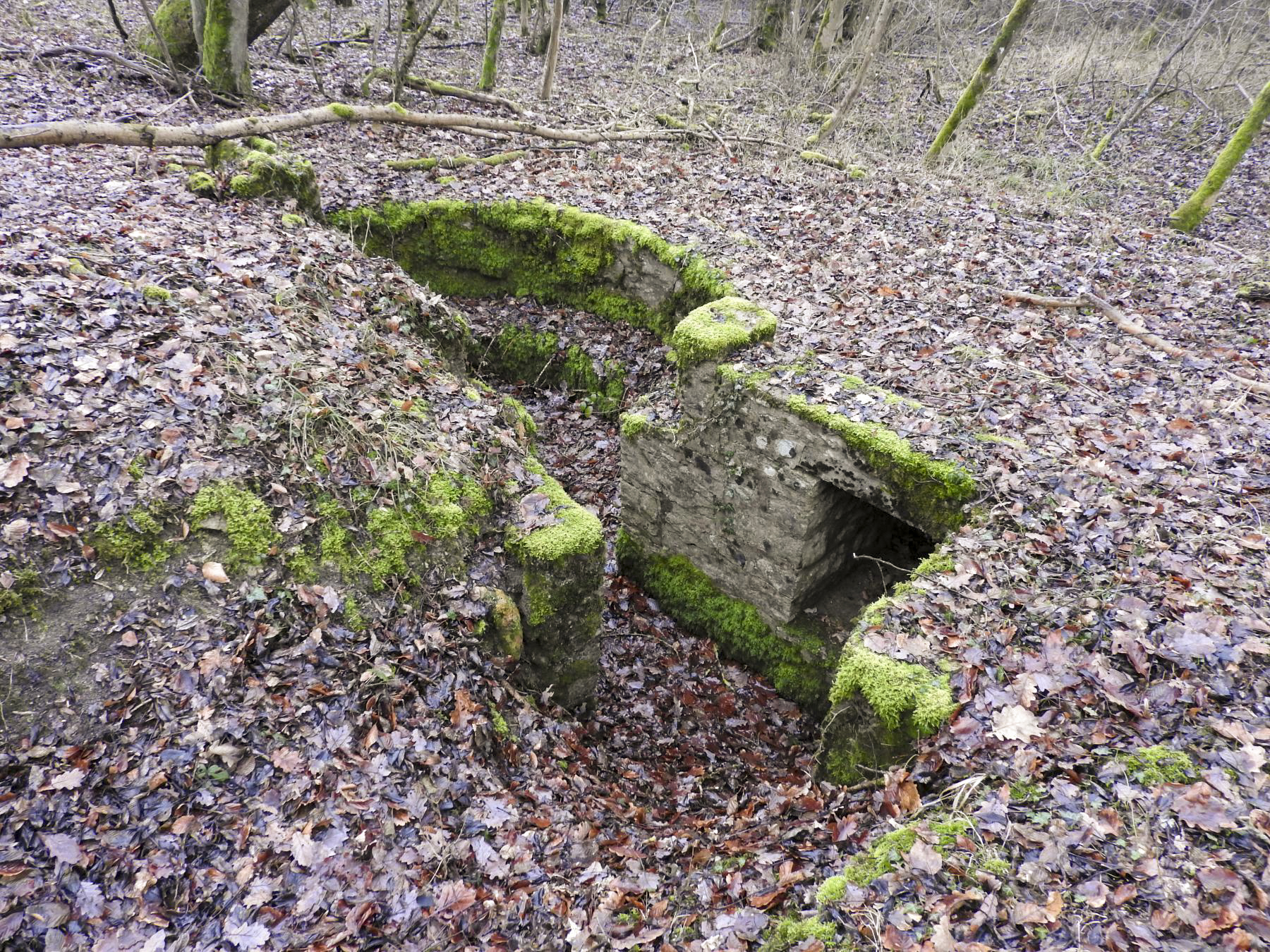 Ligne Maginot - GUNGLINGERWALD 2 - (Cuve pour arme d'infanterie) - La cuve pour arme d'infanterie. - STENGER Mathieu