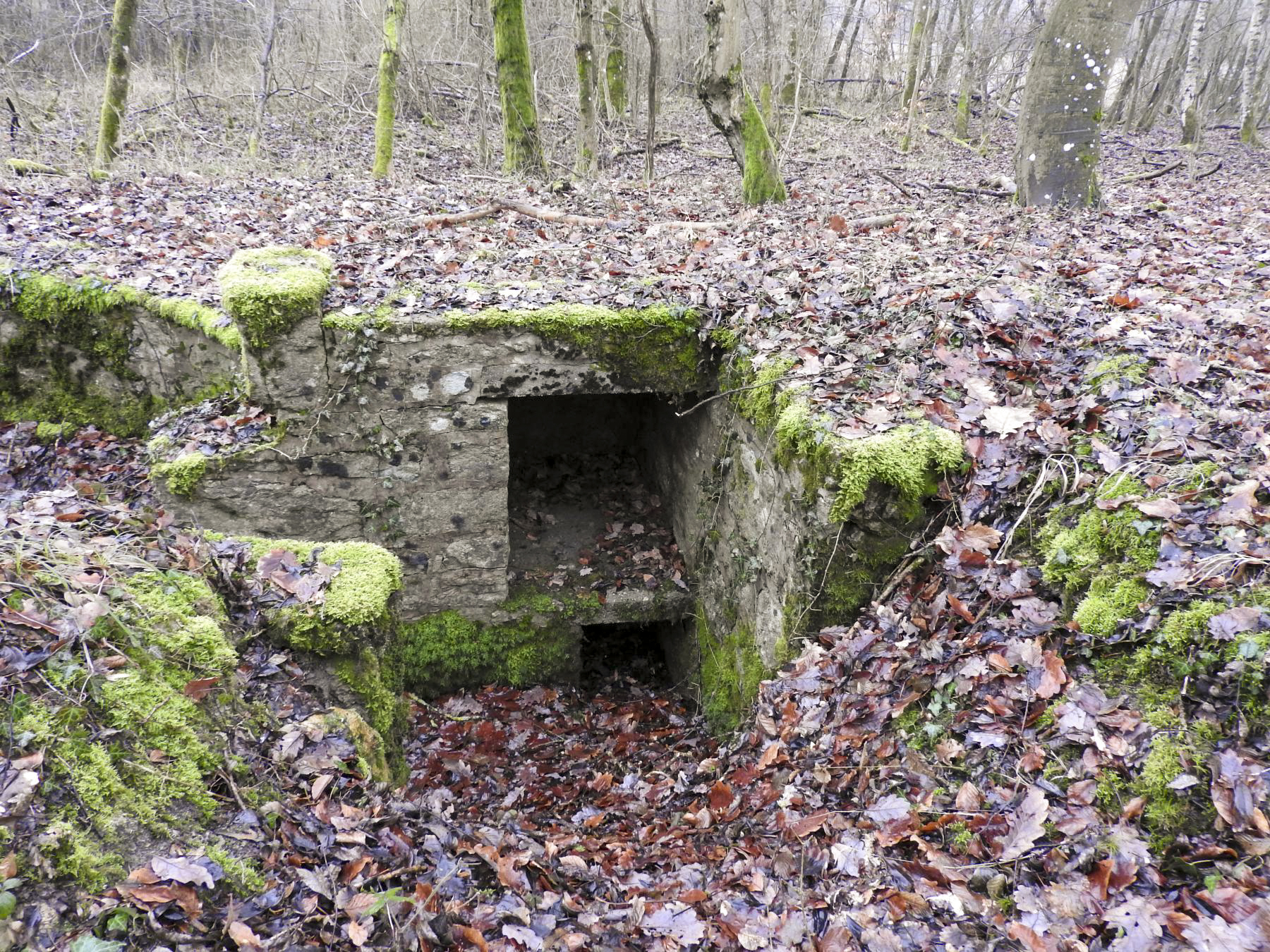 Ligne Maginot - GUNGLINGERWALD 2 - (Cuve pour arme d'infanterie) - La niche à munitions. - STENGER Mathieu