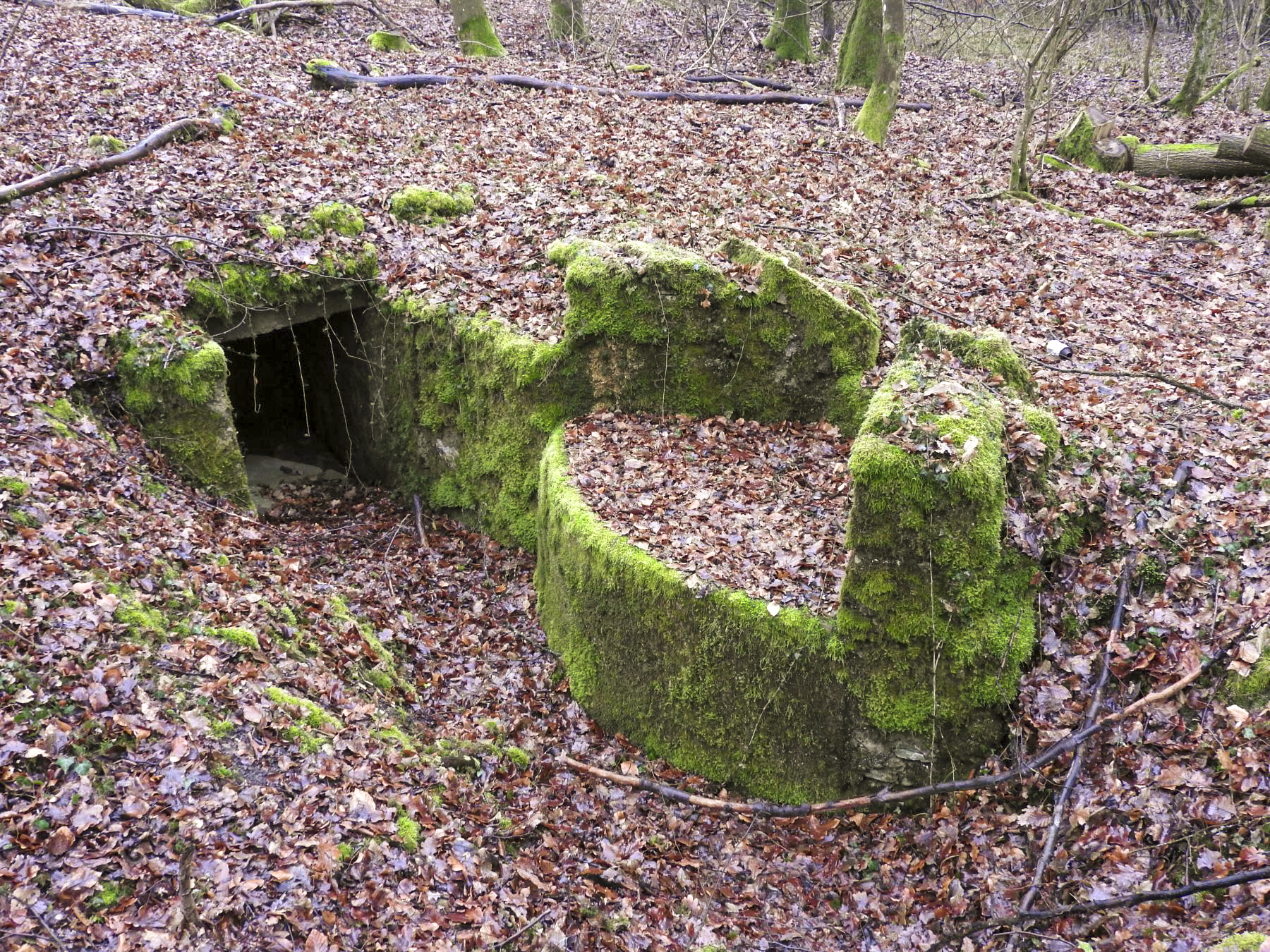 Ligne Maginot - GUNGLINGERWALD 3 - (Cuve pour arme d'infanterie) - La cuve pour arme d'infanterie. - STENGER Mathieu