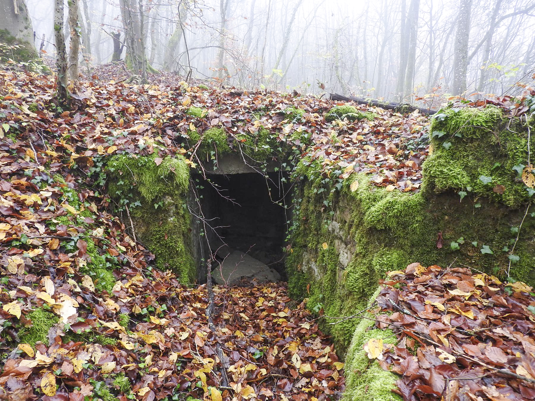 Ligne Maginot - GUNGLINGERWALD 3 - (Cuve pour arme d'infanterie) - La niche à munitions. - STENGER Mathieu