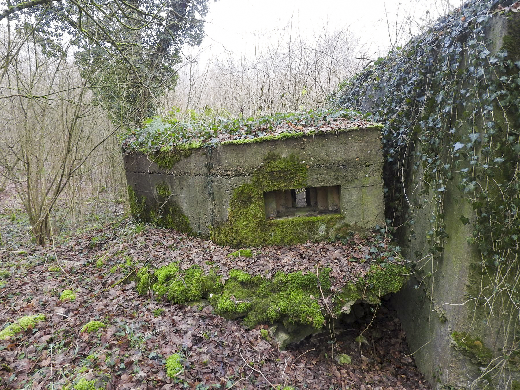 Ligne Maginot - AB32-B - LANDERT OUEST - (Blockhaus pour canon) - L'avancée pour tir au FM. - STENGER Mathieu