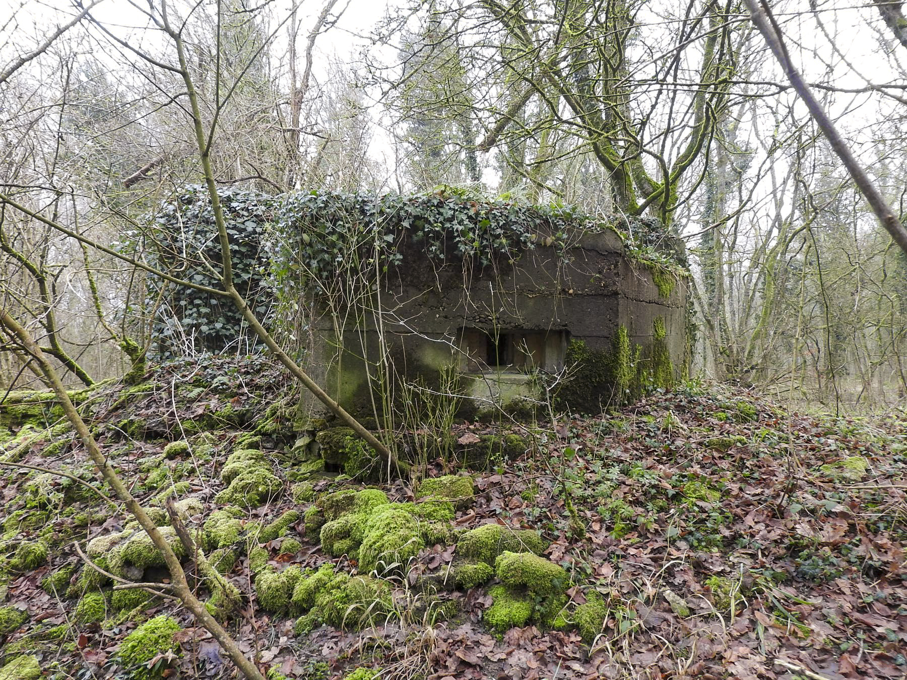 Ligne Maginot - AB32-B - LANDERT OUEST - (Blockhaus pour canon) - L'un des créneaux pour FM. - STENGER Mathieu