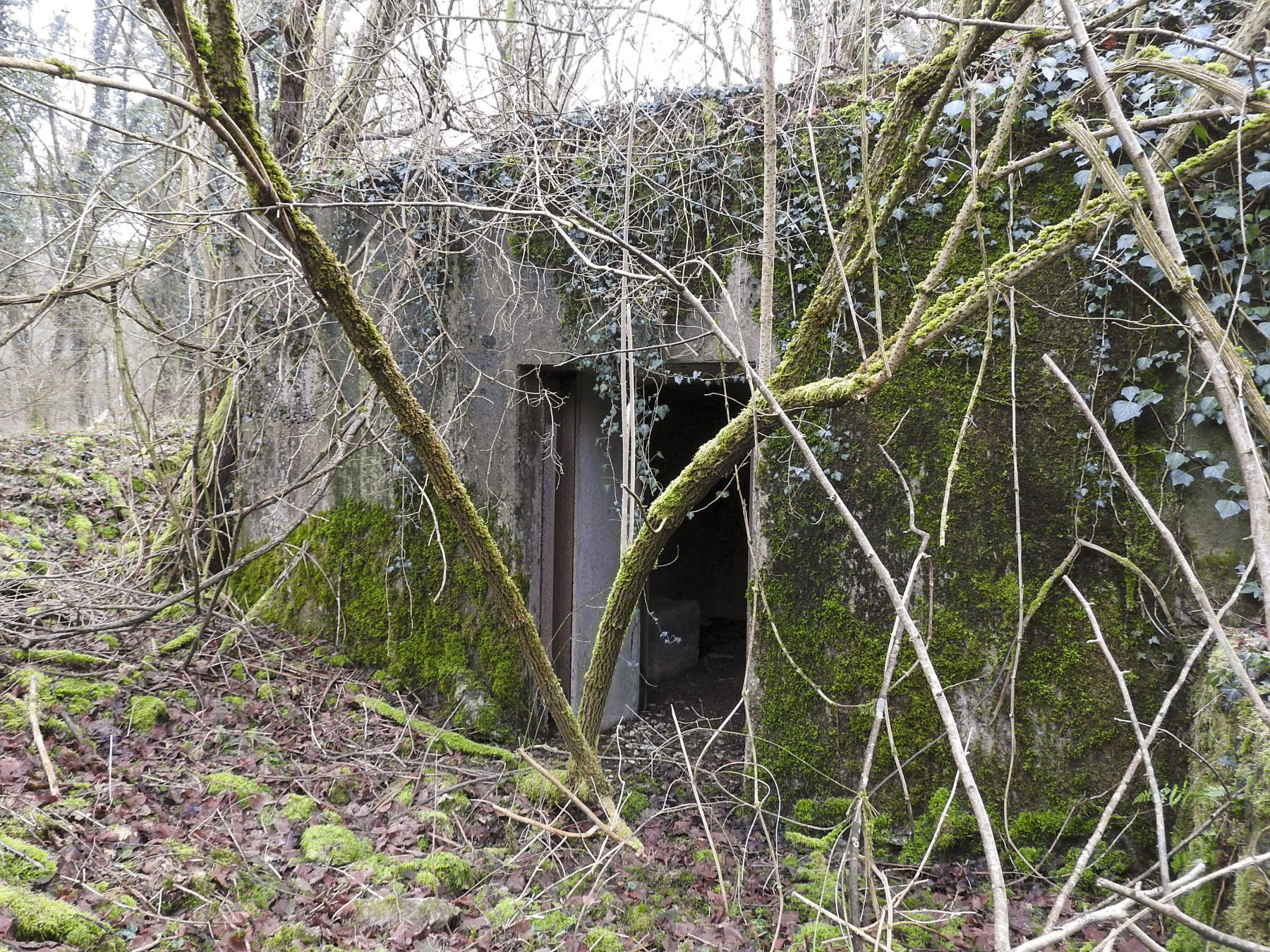 Ligne Maginot - AB32-B - LANDERT OUEST - (Blockhaus pour canon) - L'entrée matériel du blockhaus. - STENGER Mathieu