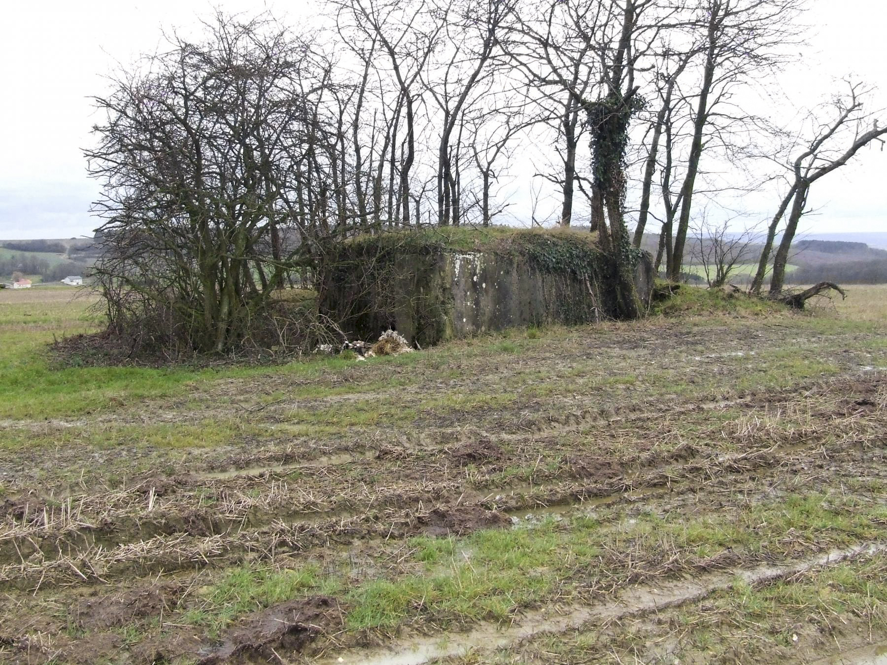 Ligne Maginot - SCHLANGENSTUCK 3 - (Blockhaus pour arme infanterie) -  - STENGER Mathieu