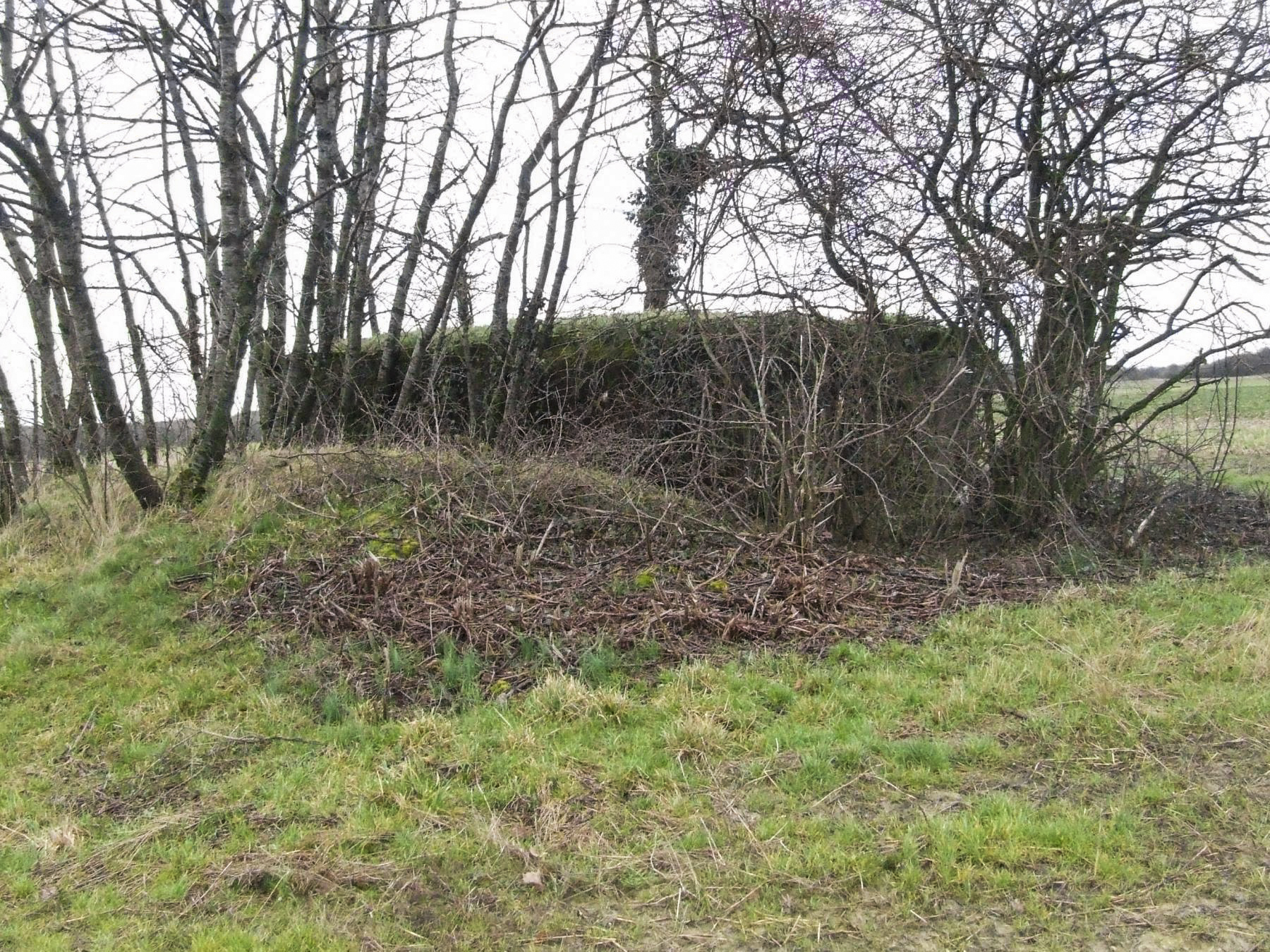 Ligne Maginot - SCHLANGENSTUCK 3 - (Blockhaus pour arme infanterie) -  - STENGER Mathieu