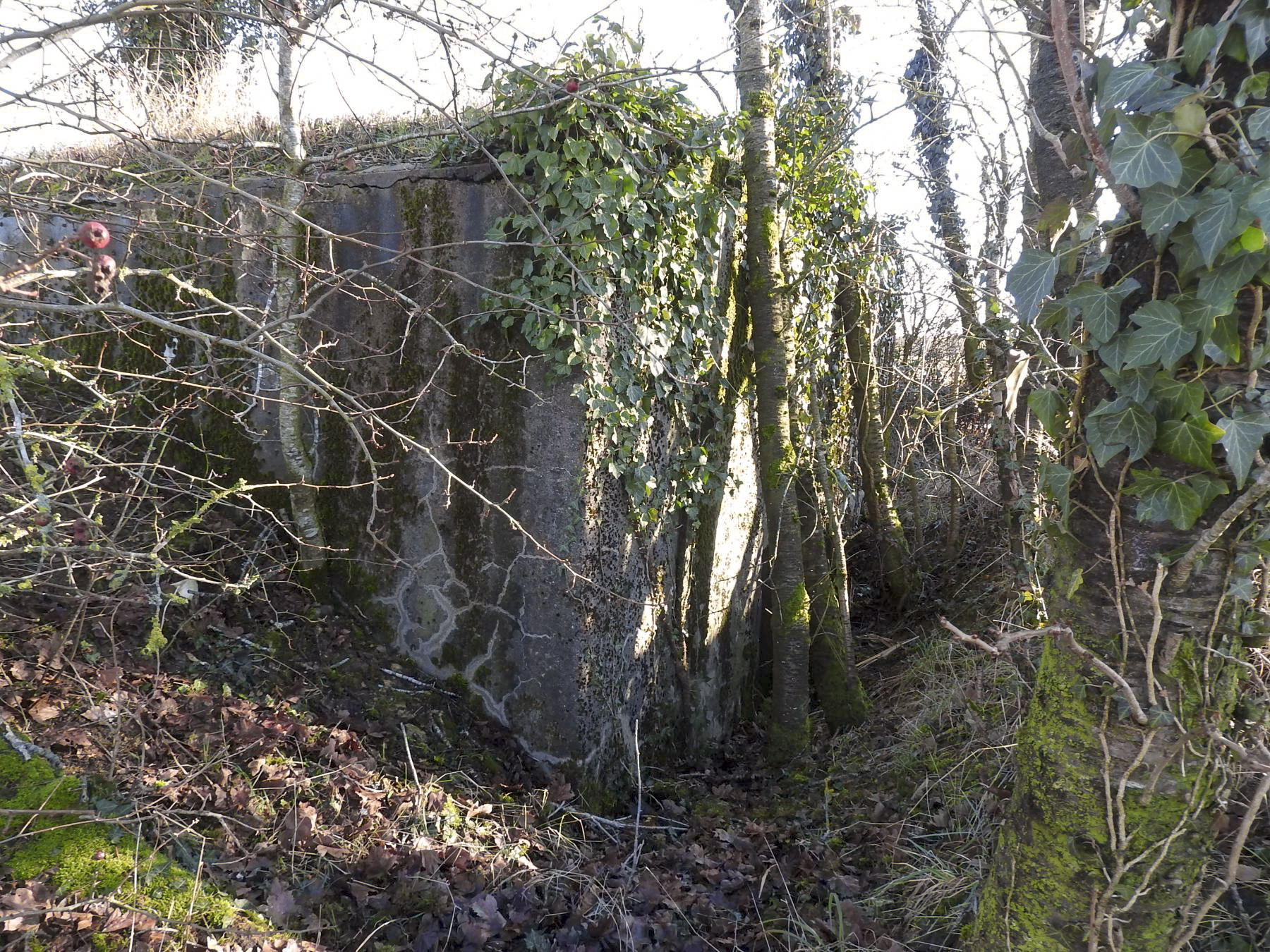 Ligne Maginot - SCHLANGENSTUCK 3 - (Blockhaus pour arme infanterie) - La façade arrière - STENGER Mathieu