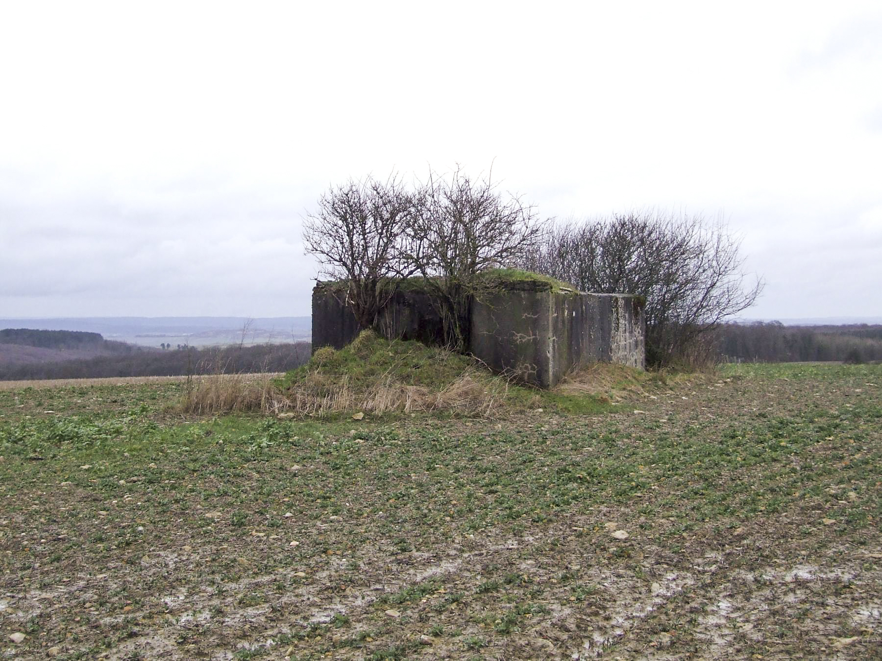 Ligne Maginot - SCHLANGENSTUCK 4 - (Blockhaus pour arme infanterie) -  - STENGER Mathieu