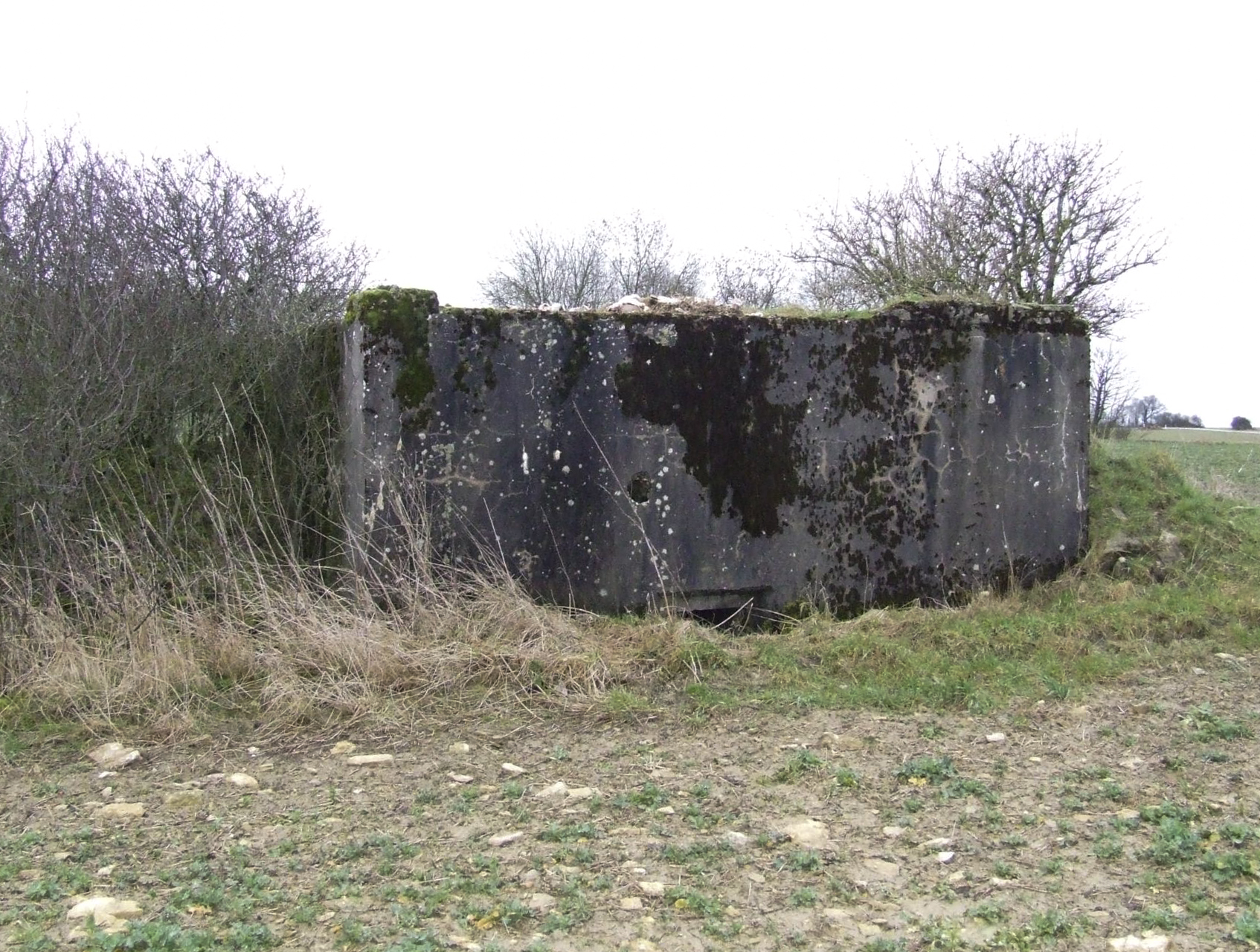 Ligne Maginot - SCHLANGENSTUCK 4 - (Blockhaus pour arme infanterie) - La façade arrière - STENGER Mathieu