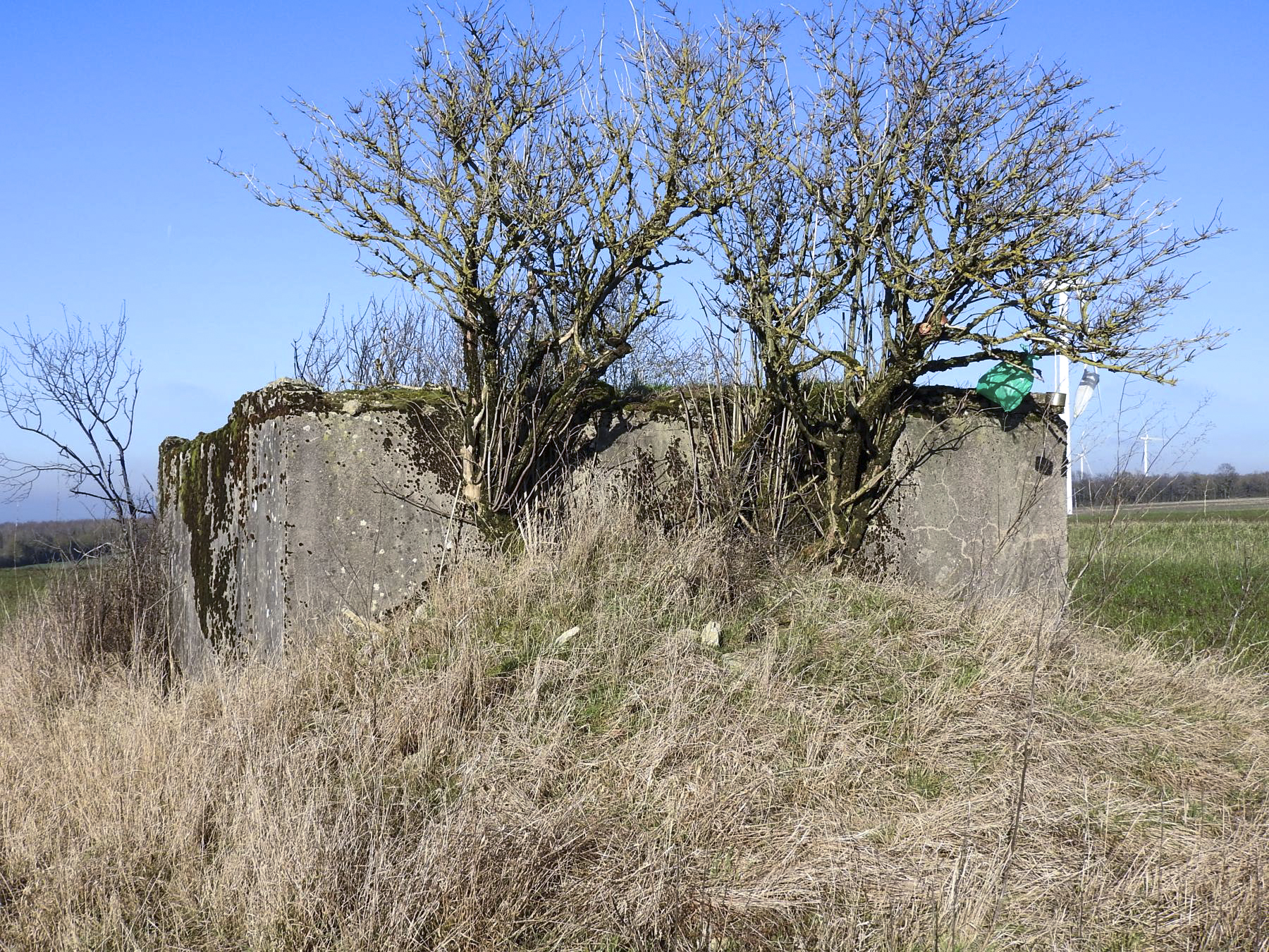 Ligne Maginot - SCHLANGENSTUCK 4 - (Blockhaus pour arme infanterie) - La façade de tir en 2022 remblayée. - STENGER Mathieu
